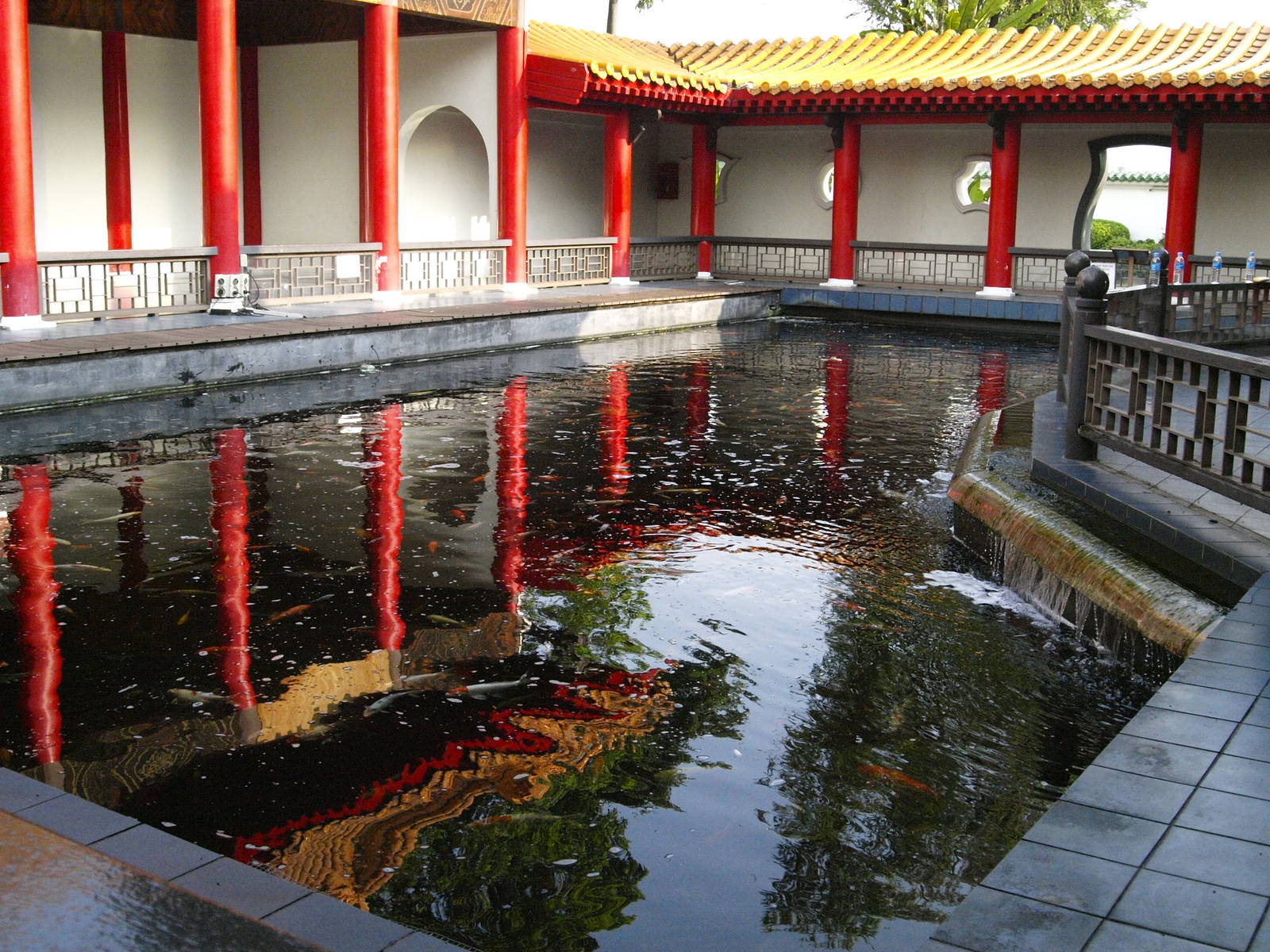 Carp pool just before entrance