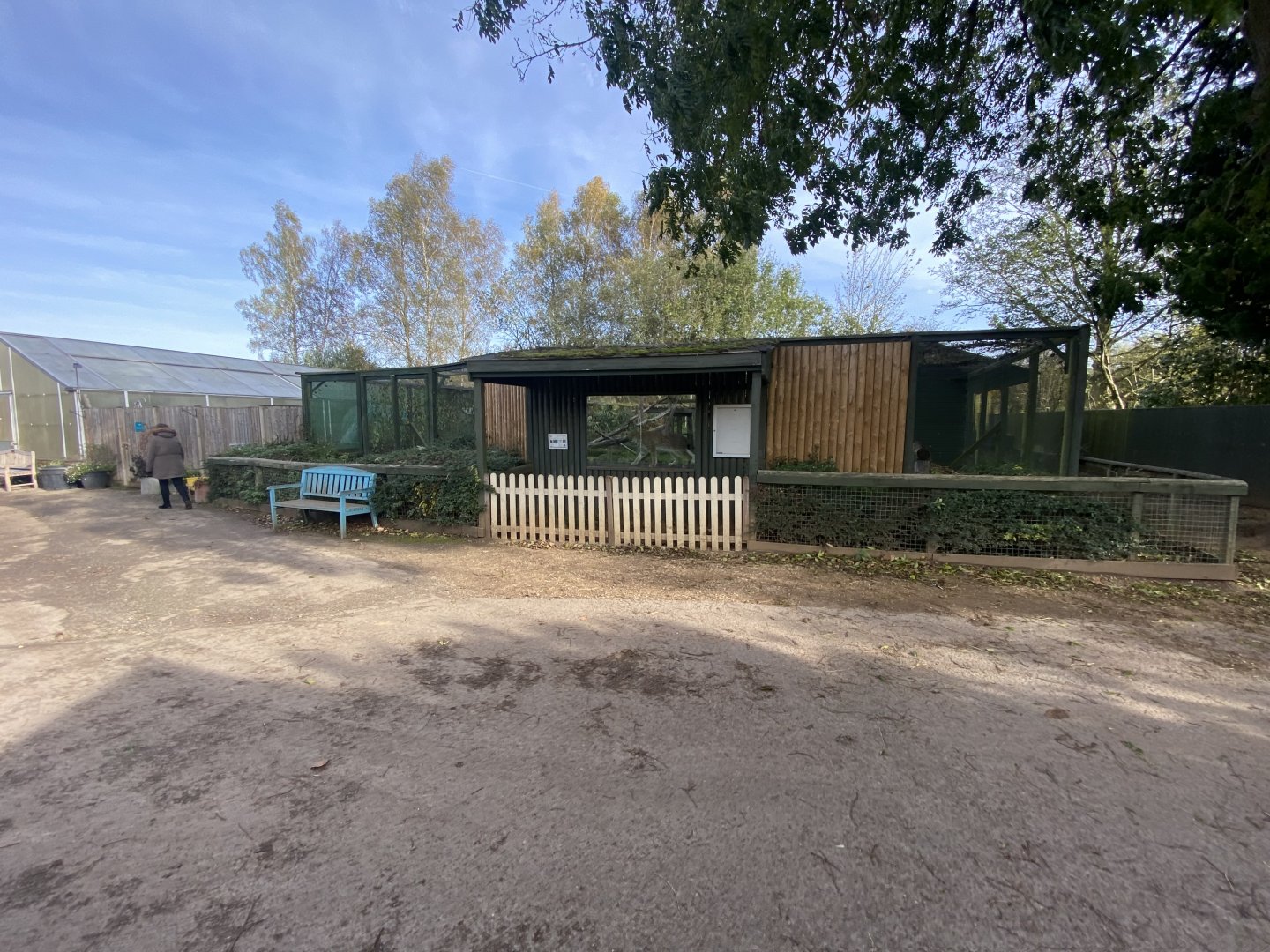 Carpathian lynx enclosure 071121