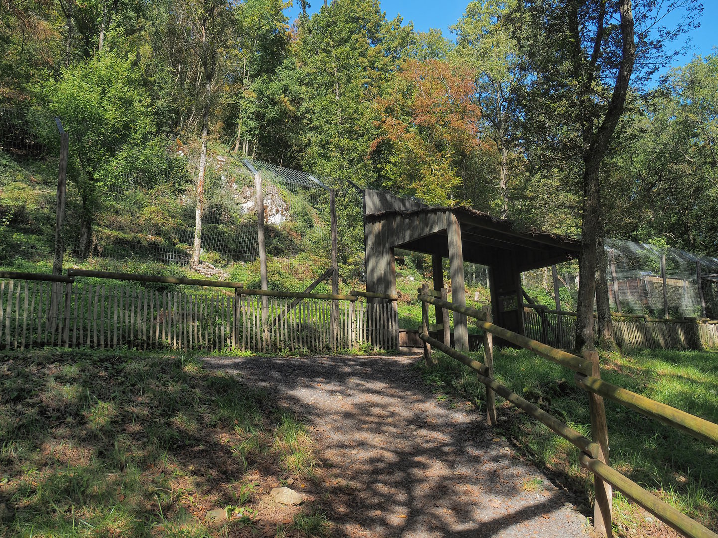 Carpathian lynx exhibit and viewing area, 2023-09-26