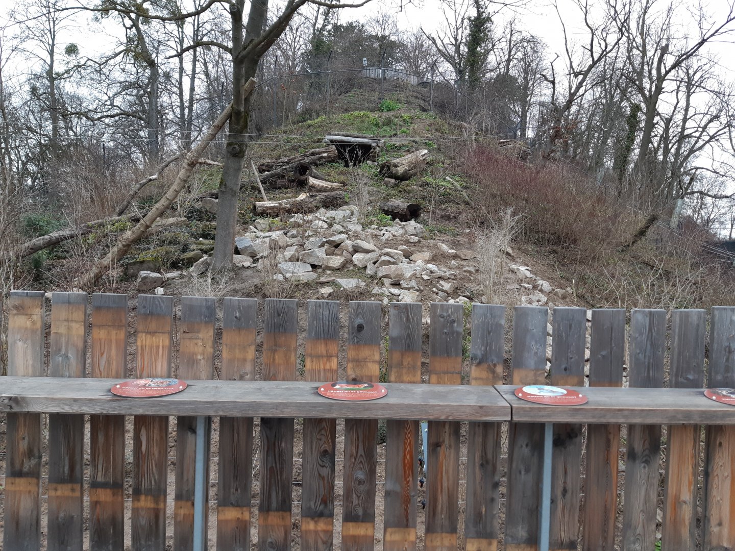 Carpathian Lynx exhibit (opened in 2021)