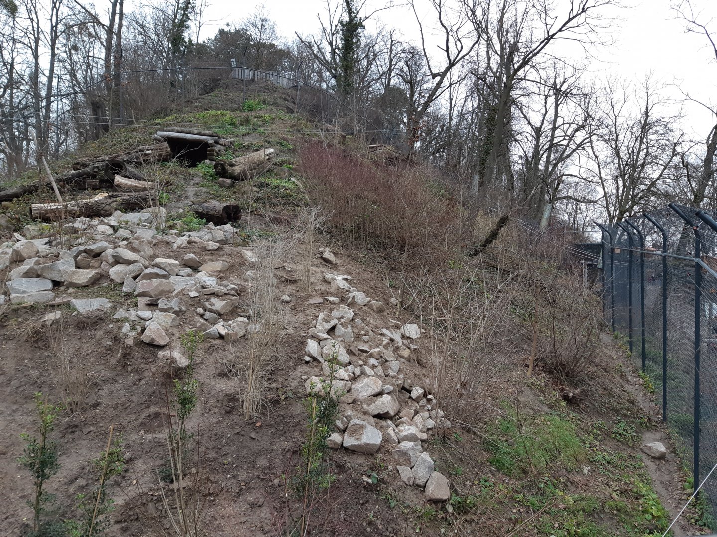 Carpathian Lynx exhibit (opened in 2021)