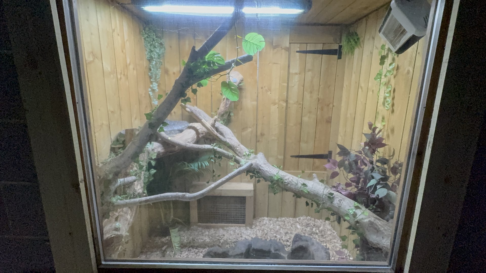 Carpet Python Enclosure at Woodside Wildlife Park (May 2024)