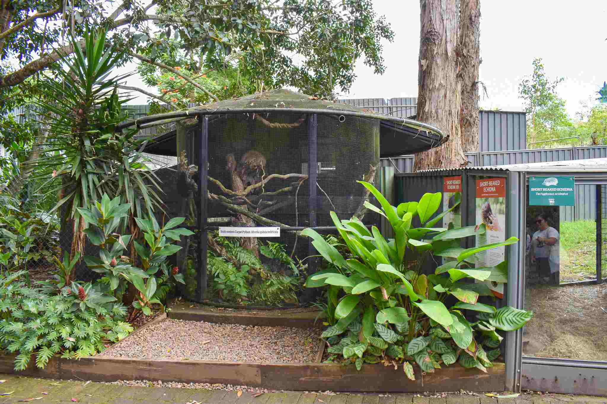 Carpet Python Enclosure