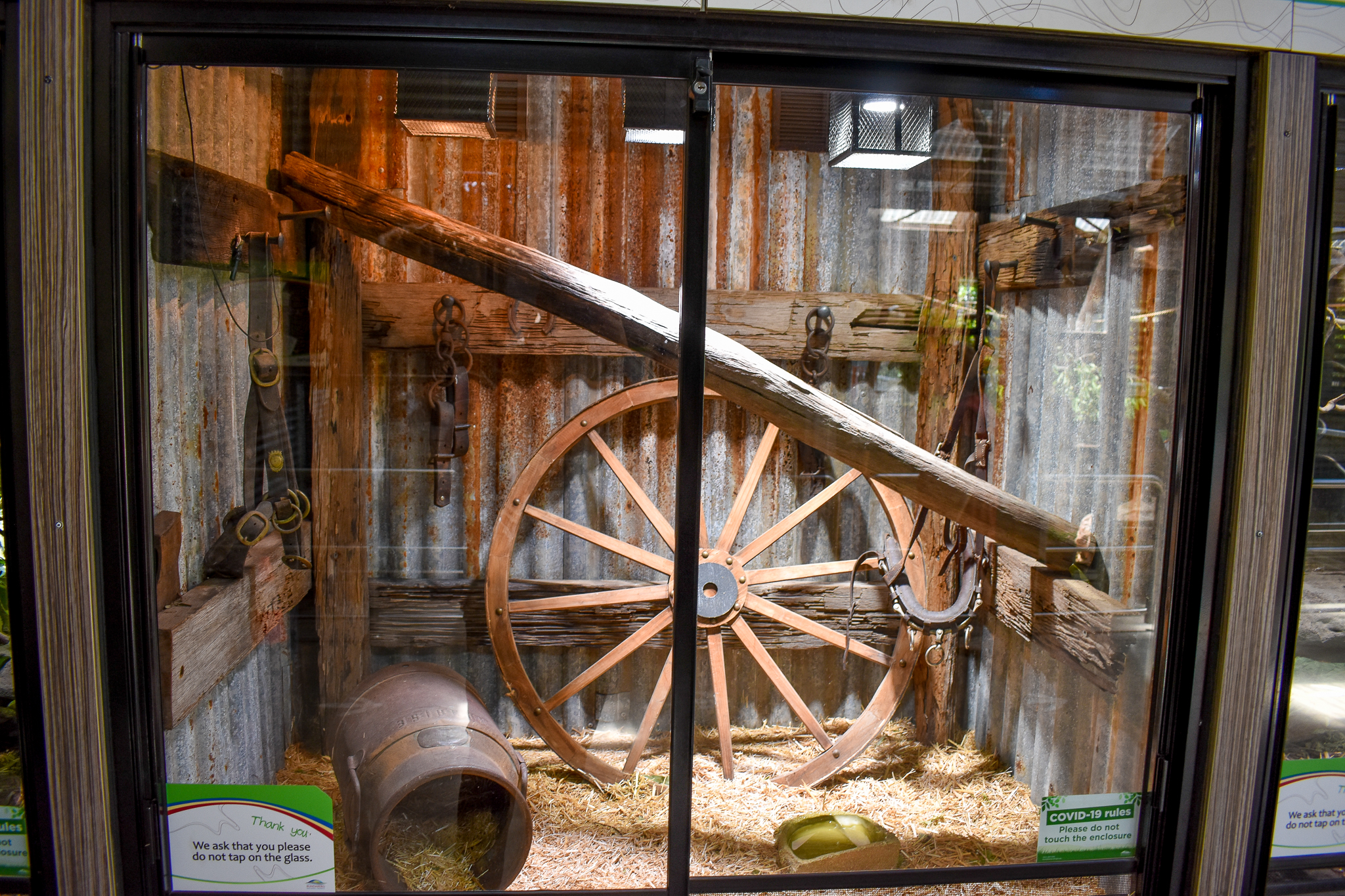 Carpet Python Enclosure