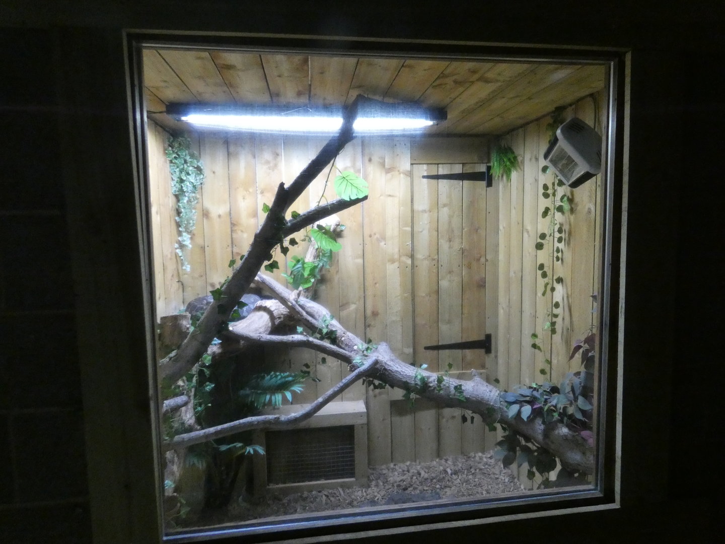 Carpet python enclosure