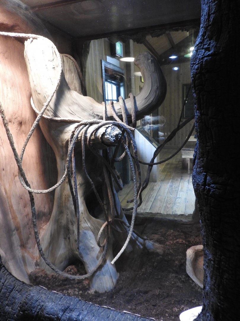 Carpet Python/Three-toed Box Turtle exhibit