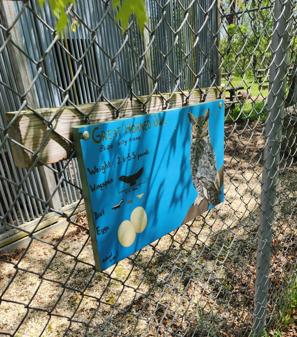 Carrie Murray Nature Center (MD) - Great Horned Owl painted signage