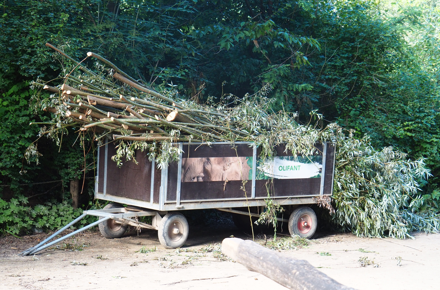 Cart with harvested willow branches for the elephants, 2022-07-03