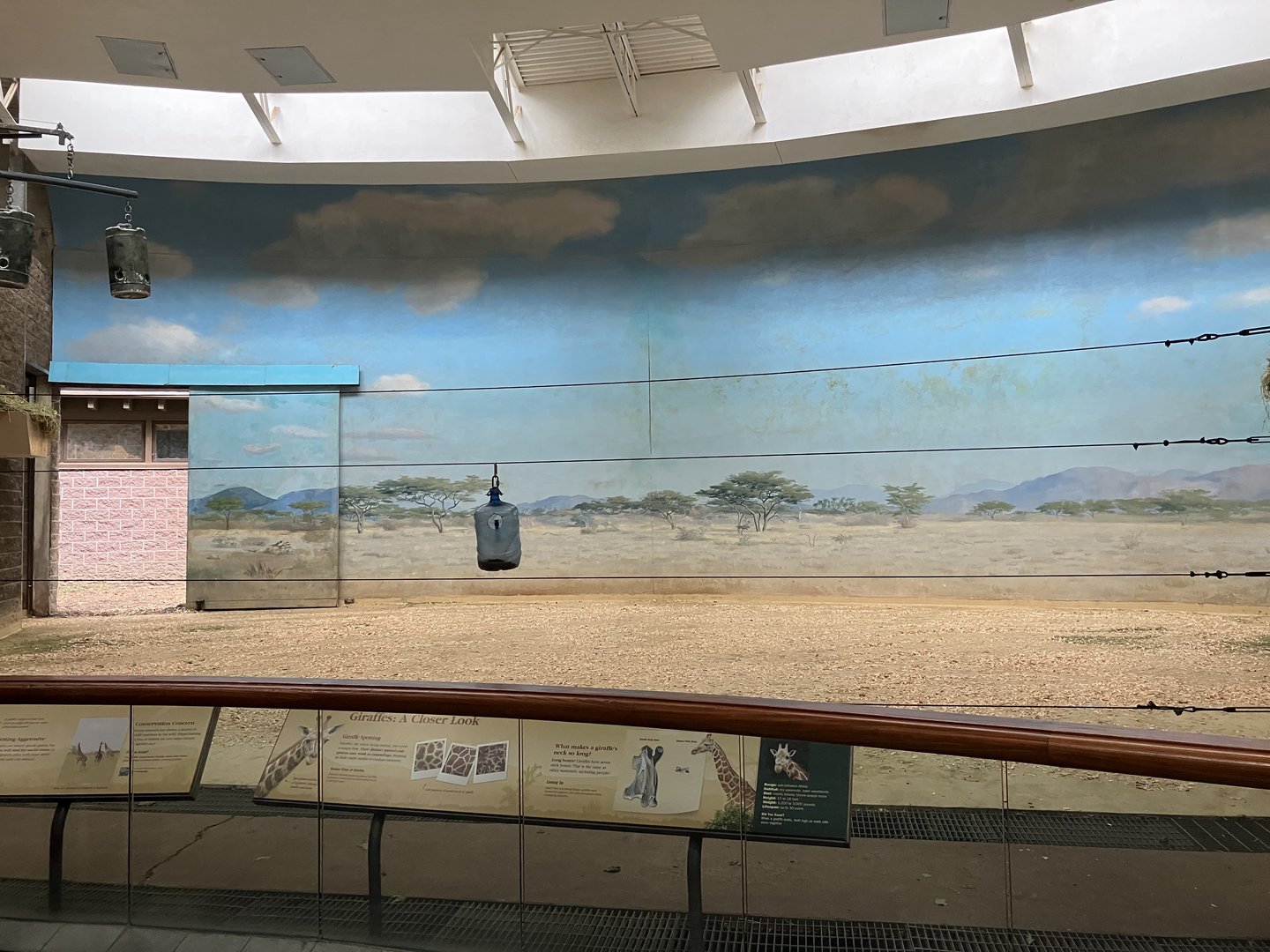 Carter Giraffe Building - Giraffe Exhibit