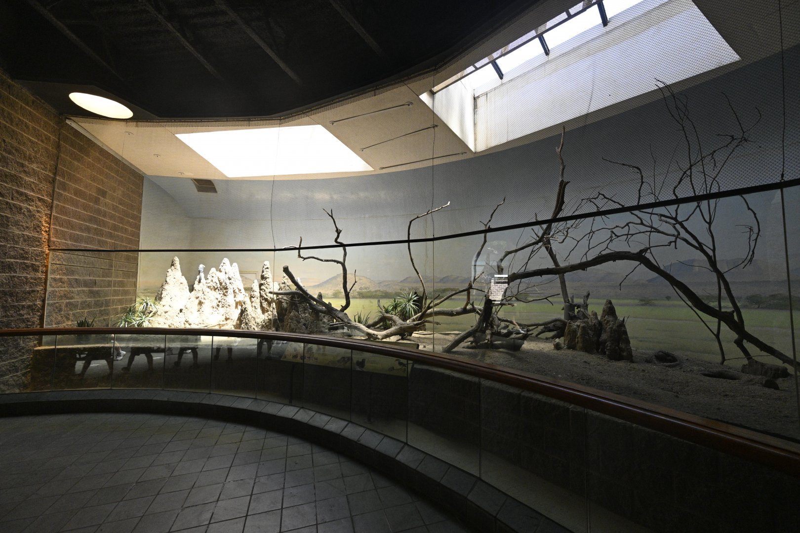 Carter Giraffe Building - Mongoose/Hornbill Exhibit