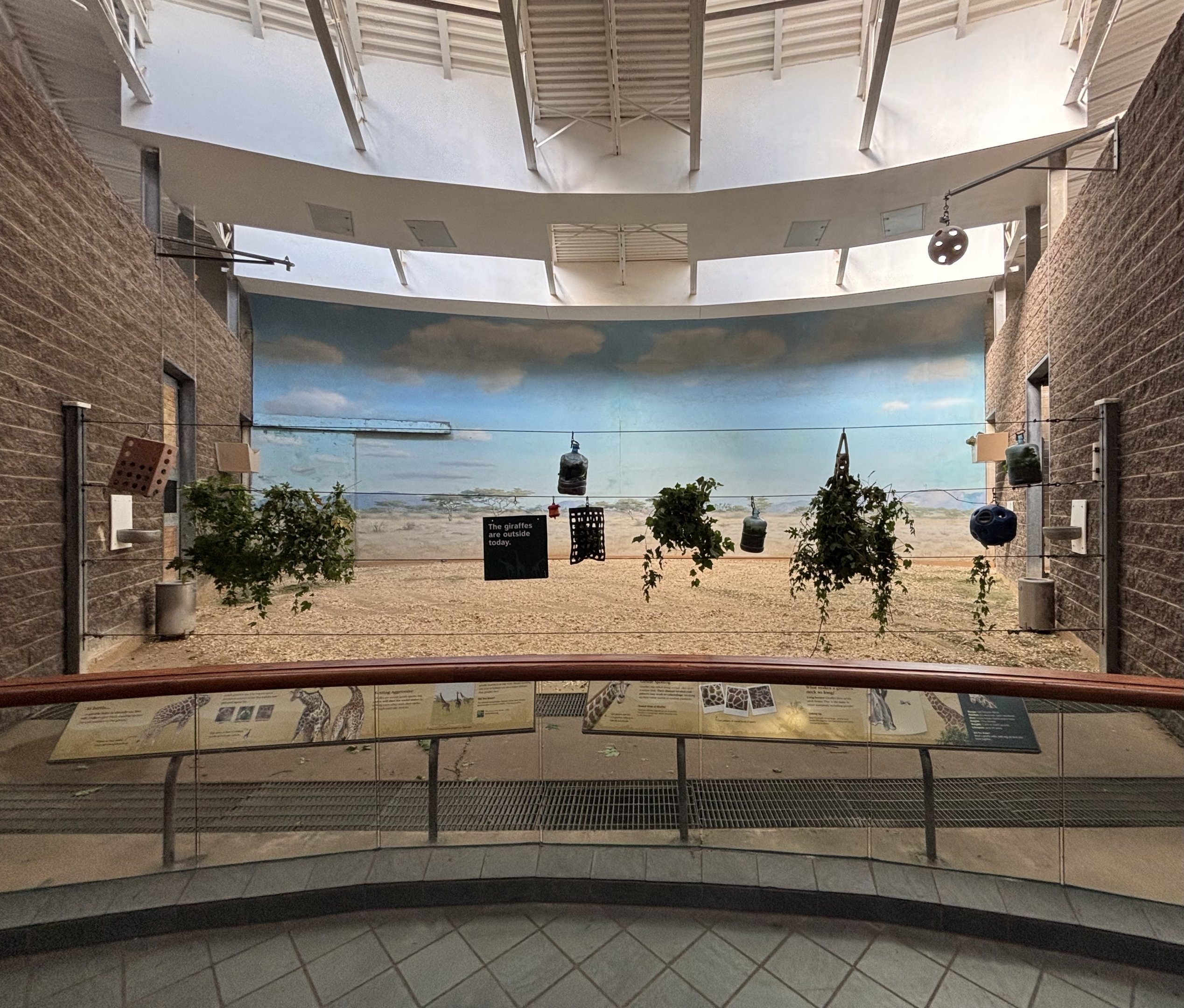 Carter Giraffe House