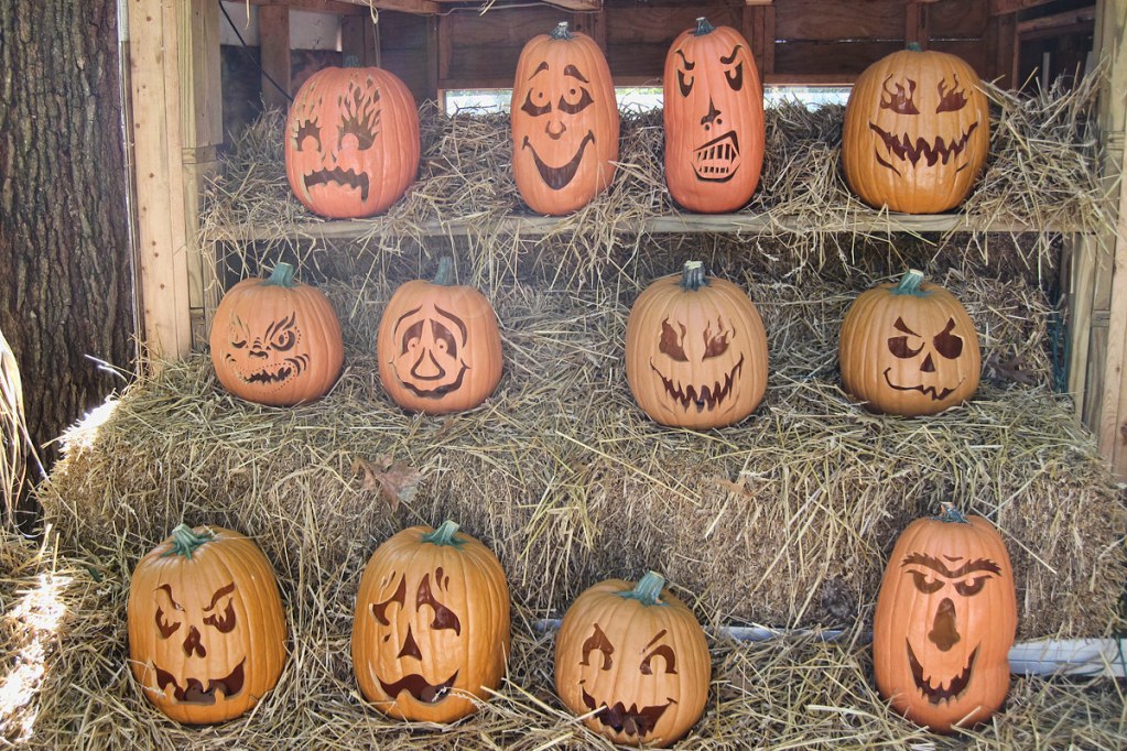 Carved Pumpkins for Halloween