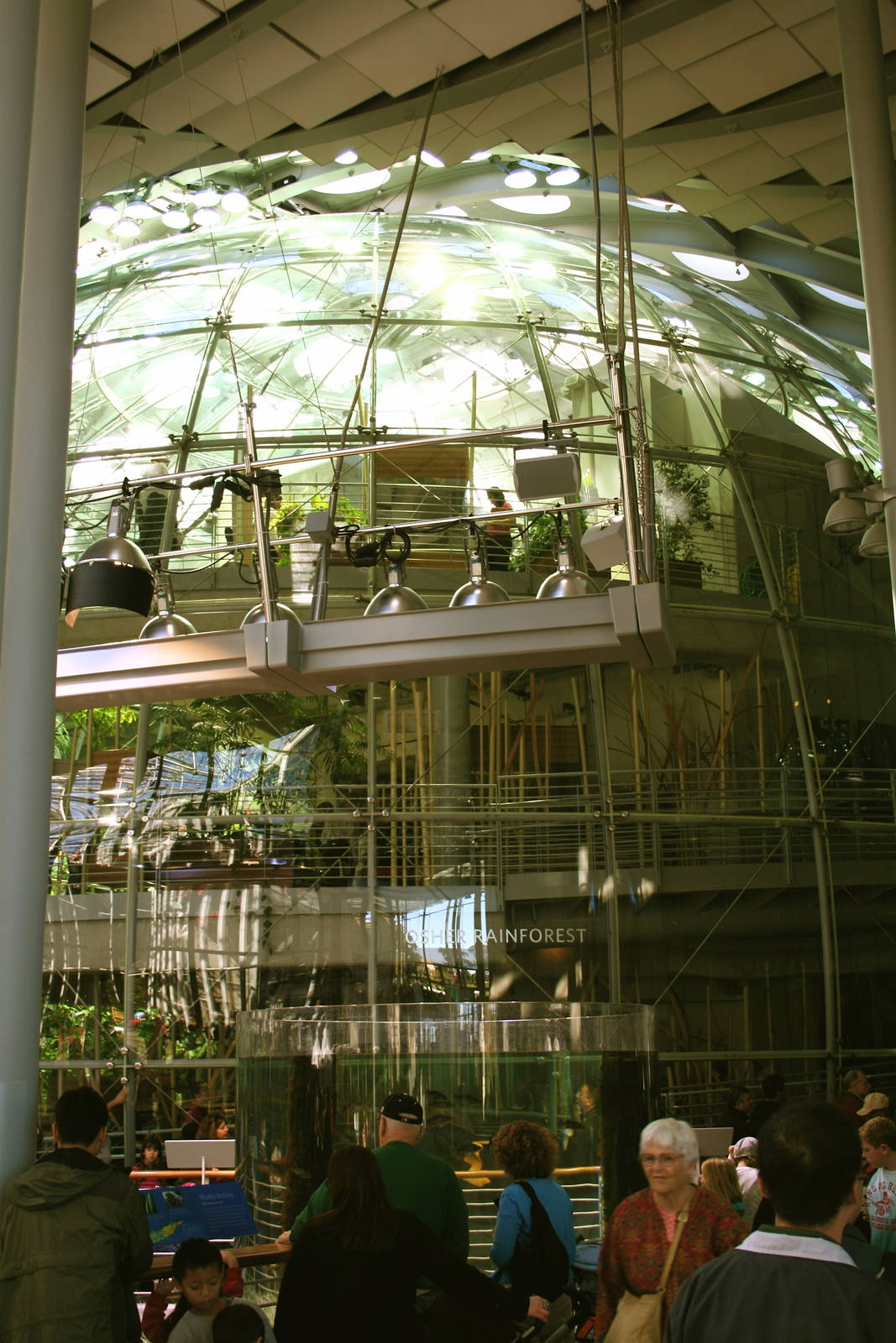 CAS Biosphere Photos- Tanagers, etc