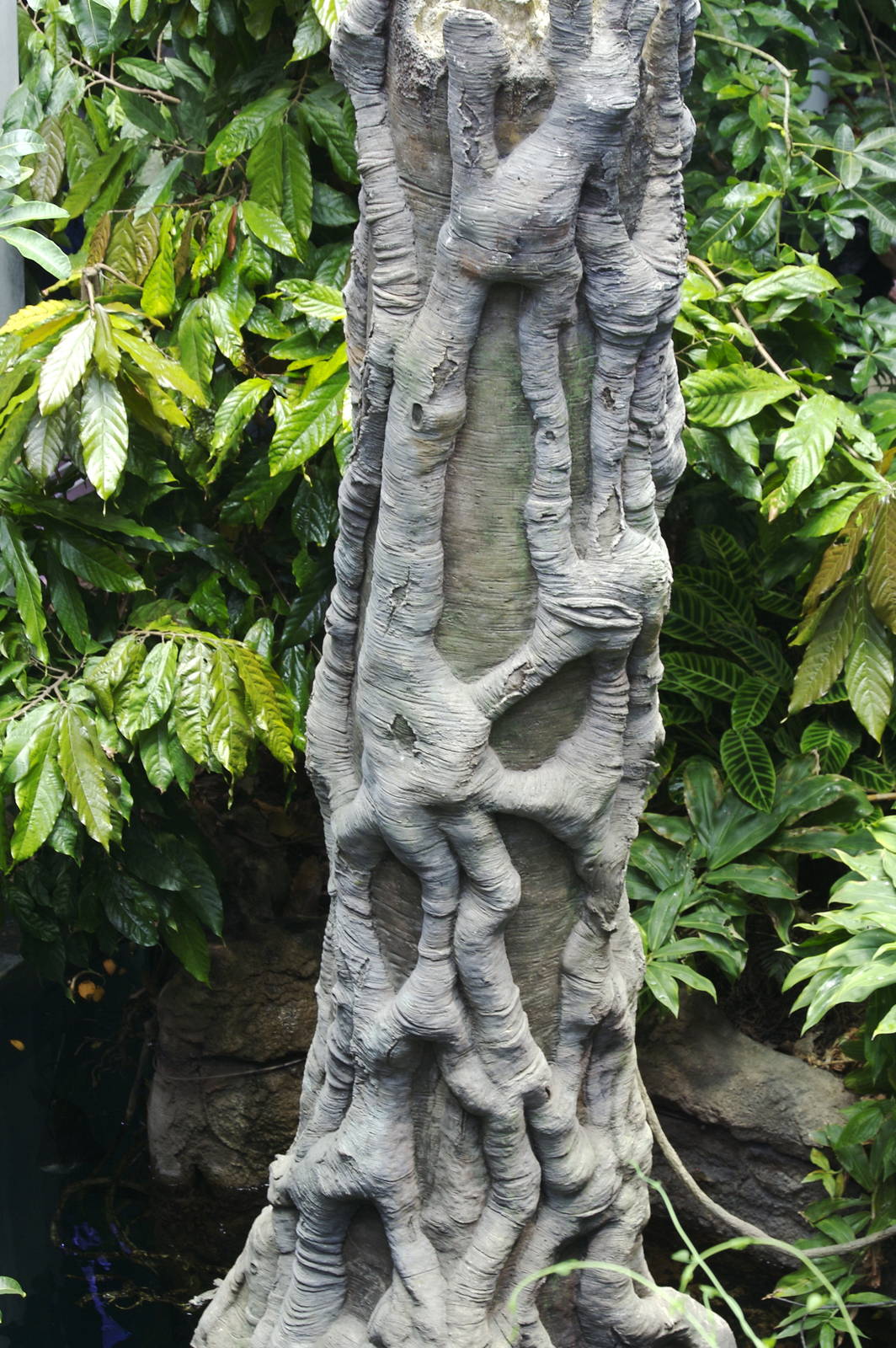 CAS Biosphere Photos- Tanagers, etc