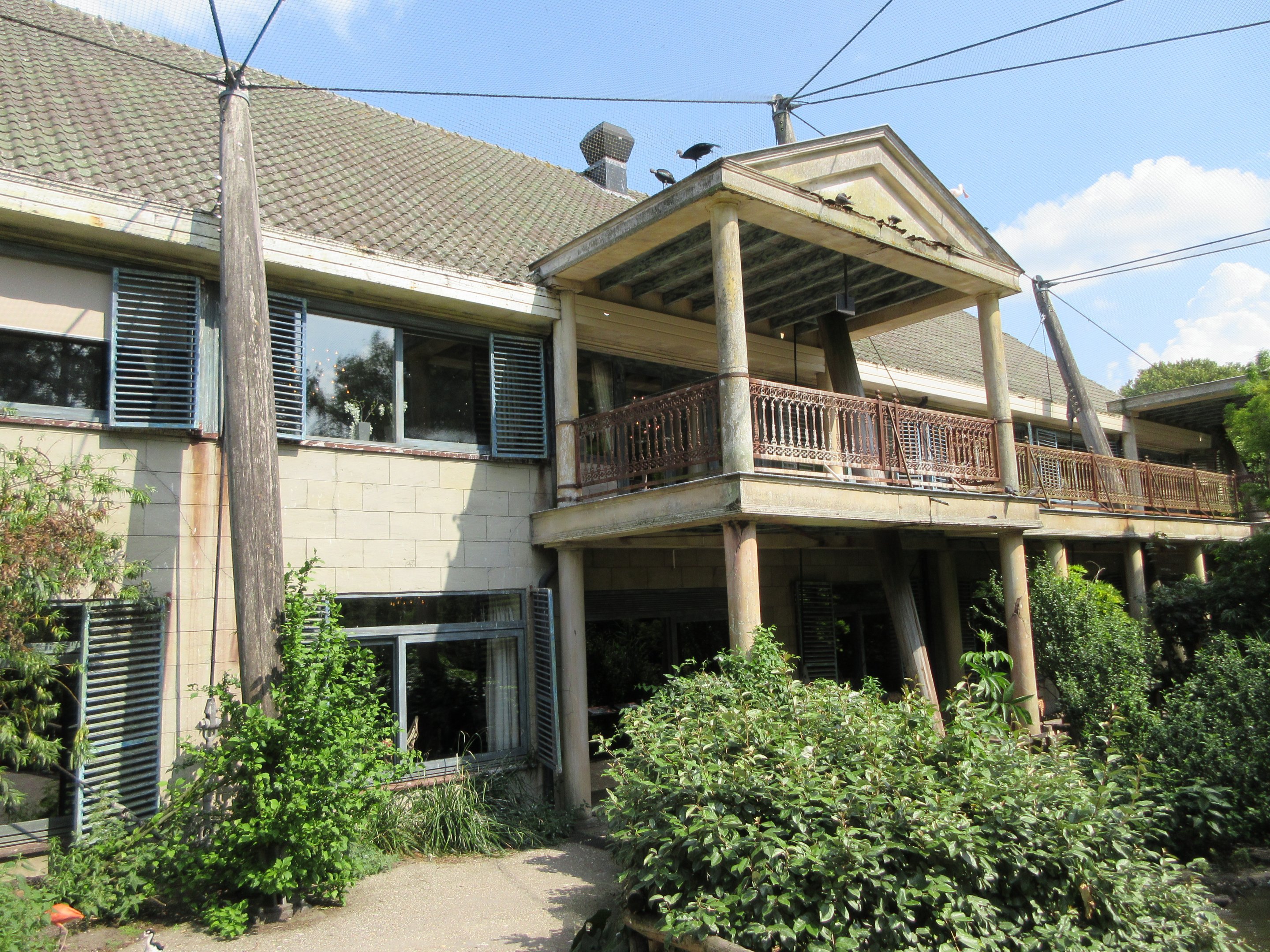Casa Havana Restaurant + Flamingo Exhibit
