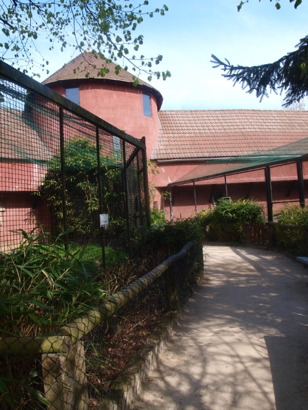 Casa Panthera building (April 19th, 2015)