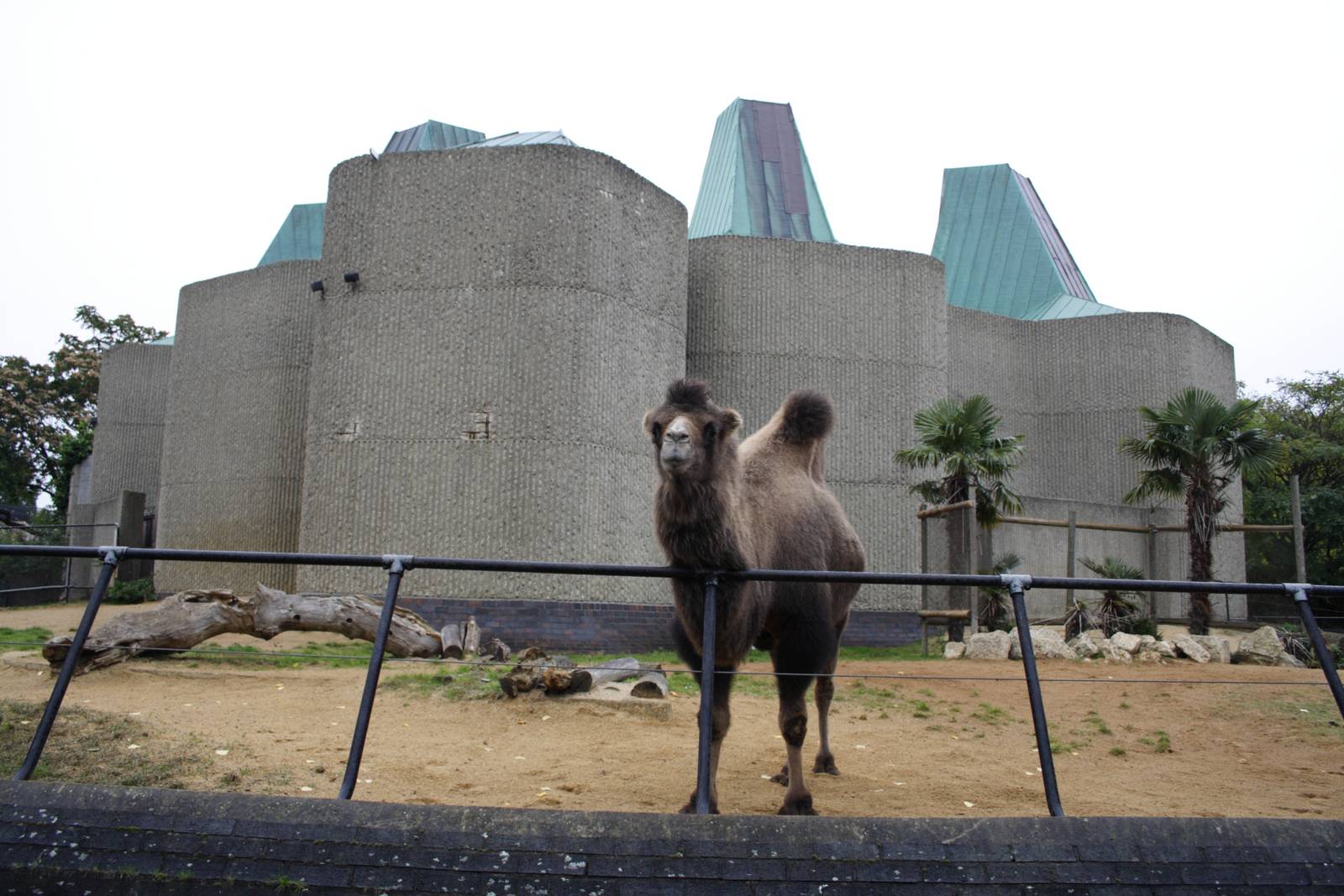 casson inside/outside