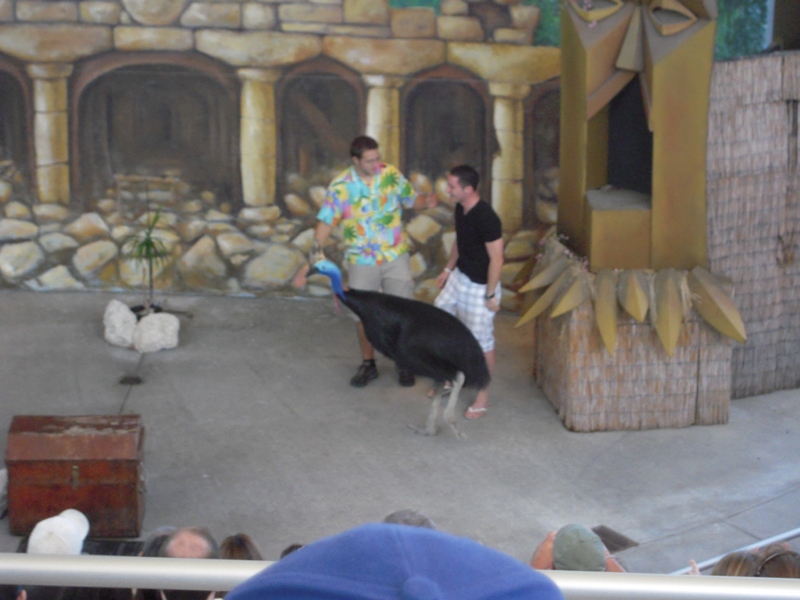 Cassowary and Volunteer from the Audience.