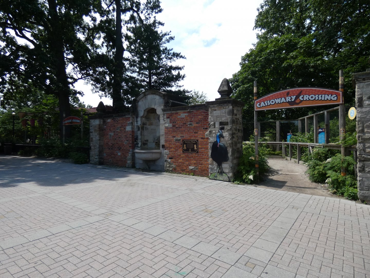 Cassowary Crossing - July 2021