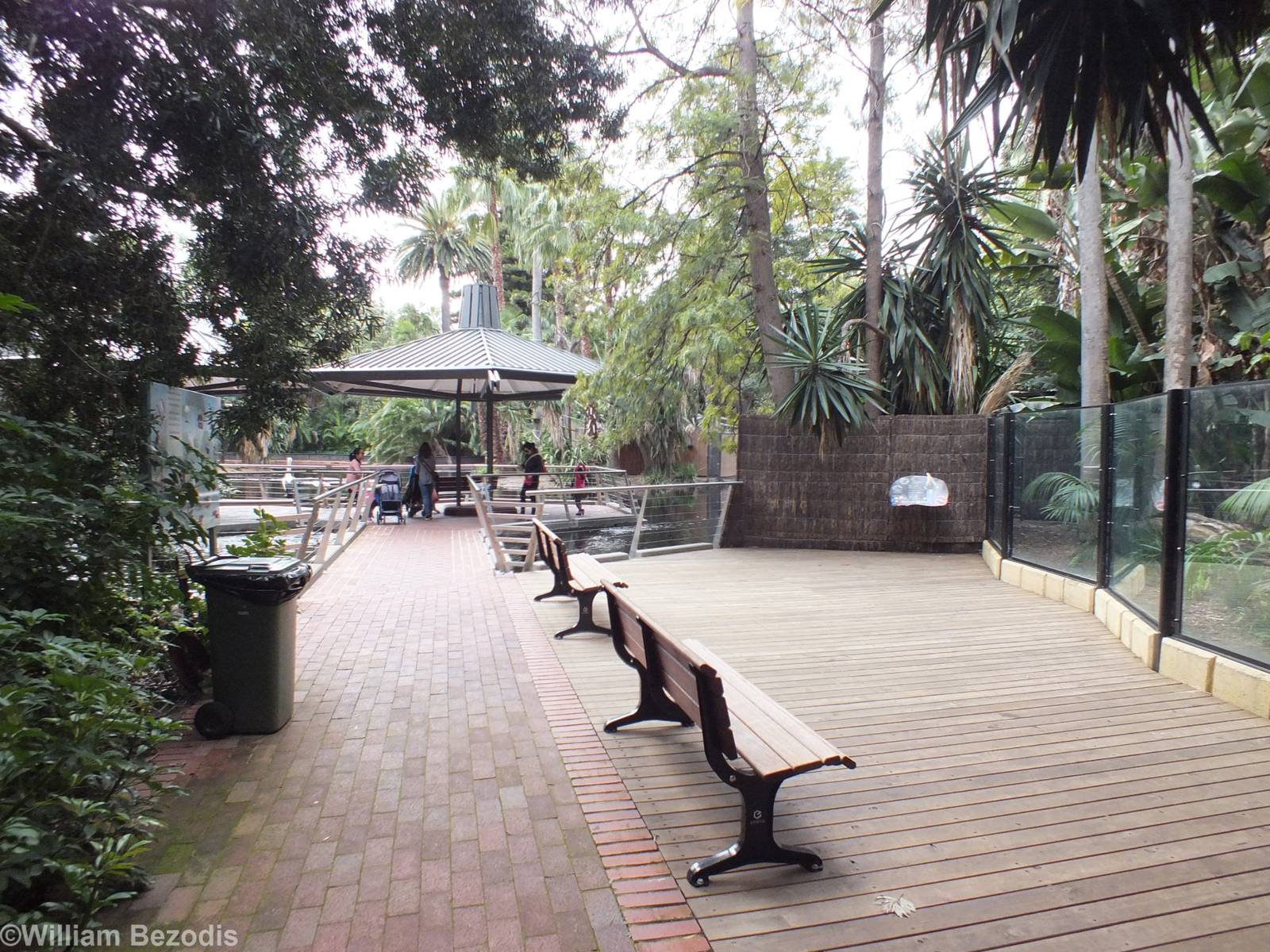 Cassowary Enclosure and Gibbon Island Viewing