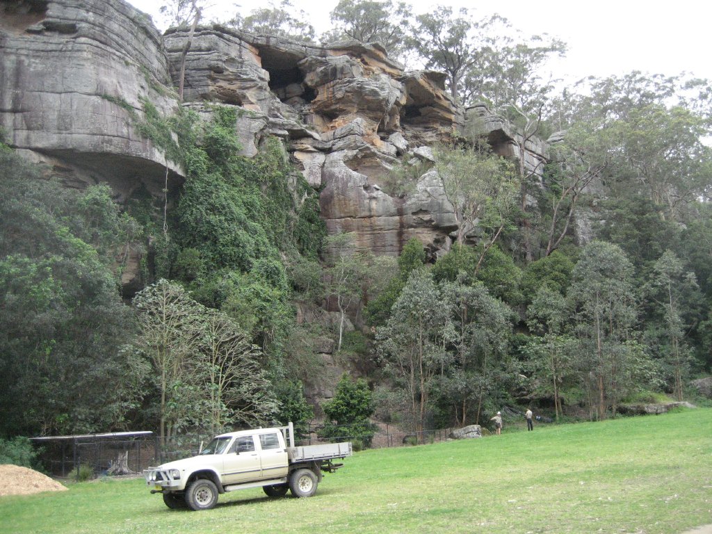 Cassowary enclosure at base of Rockface