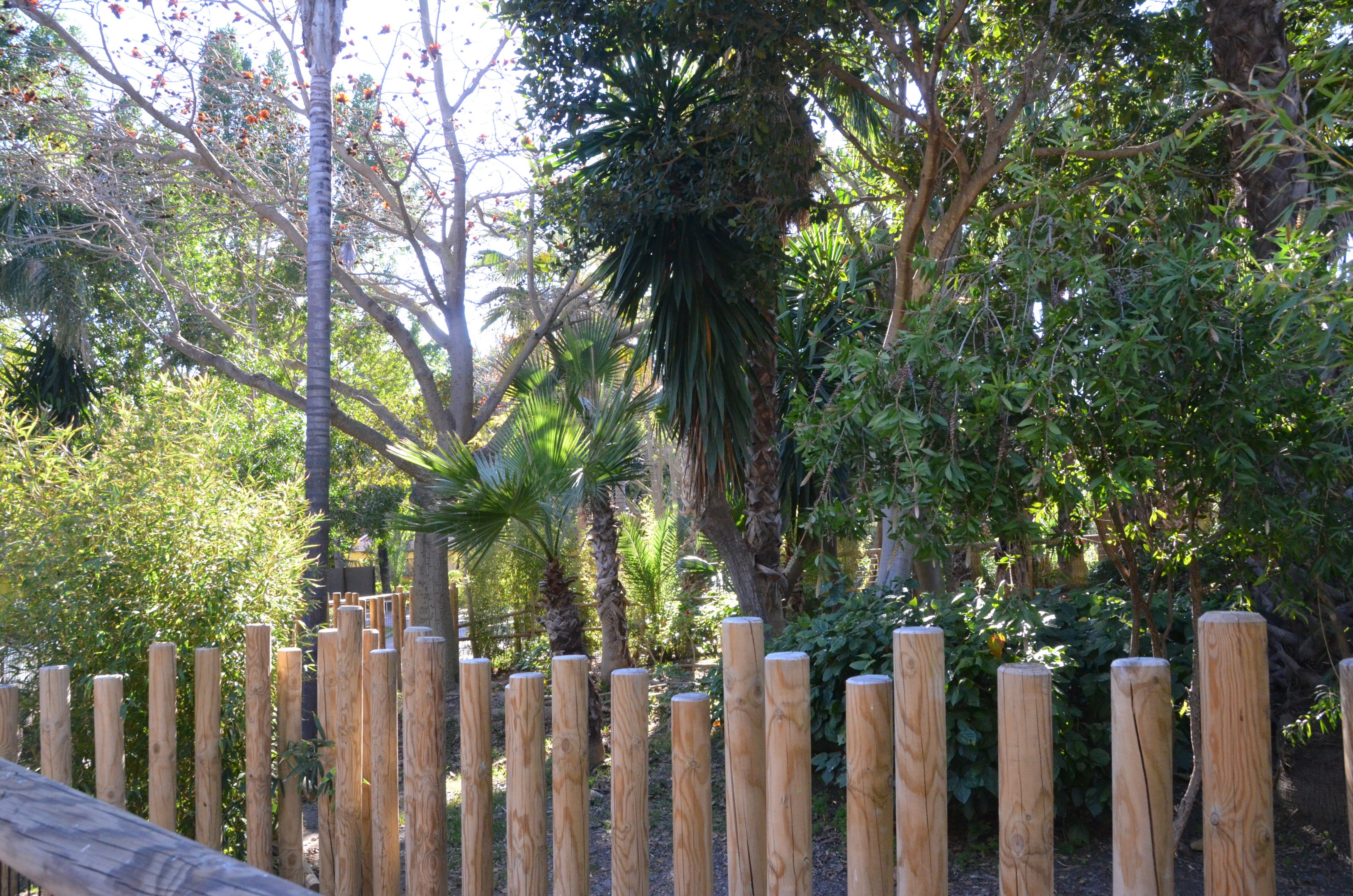 Cassowary Enclosure at Selwo Aventura, 13/03/19