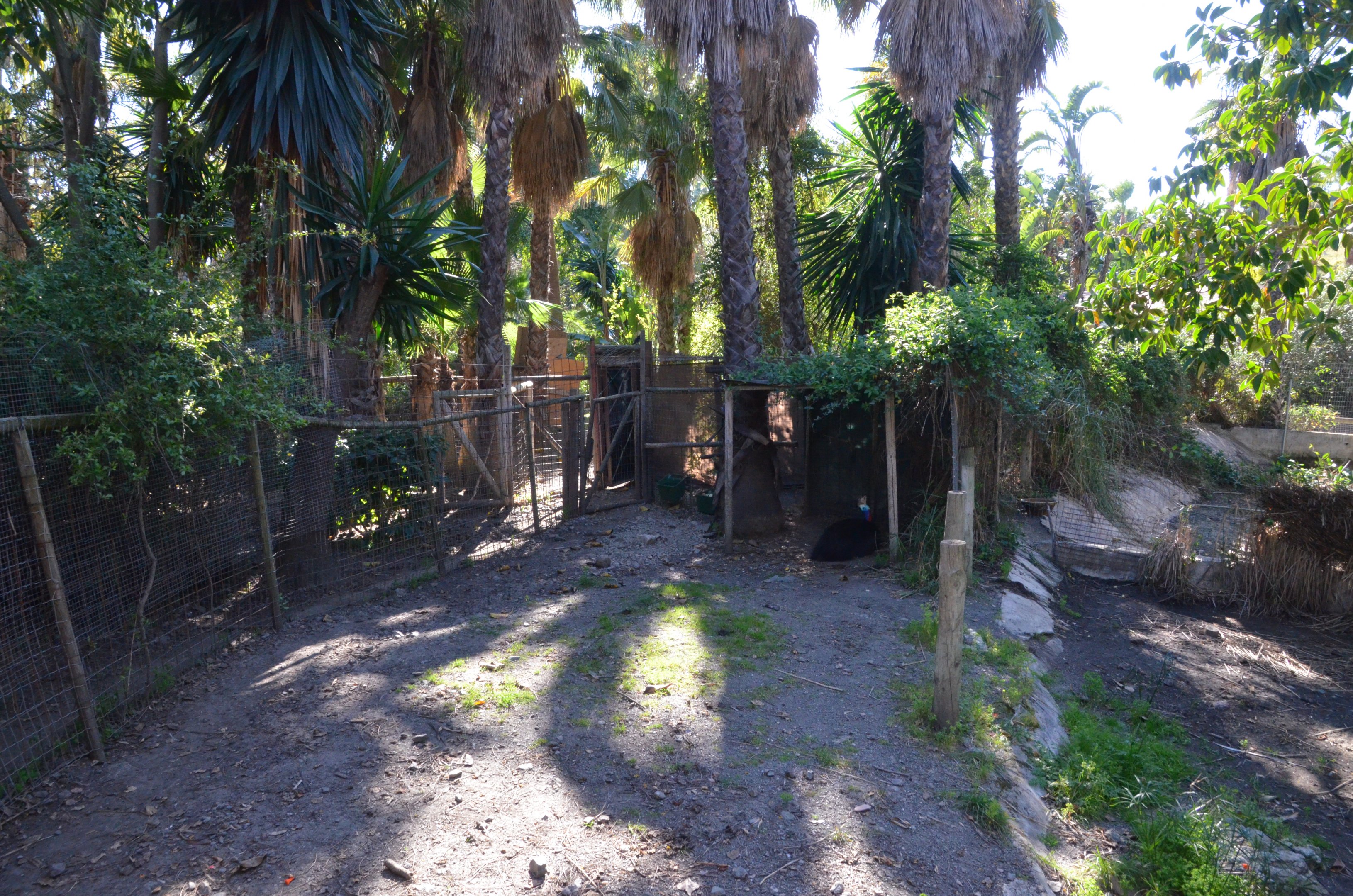 Cassowary Enclosure at Selwo Aventura, 13/03/19