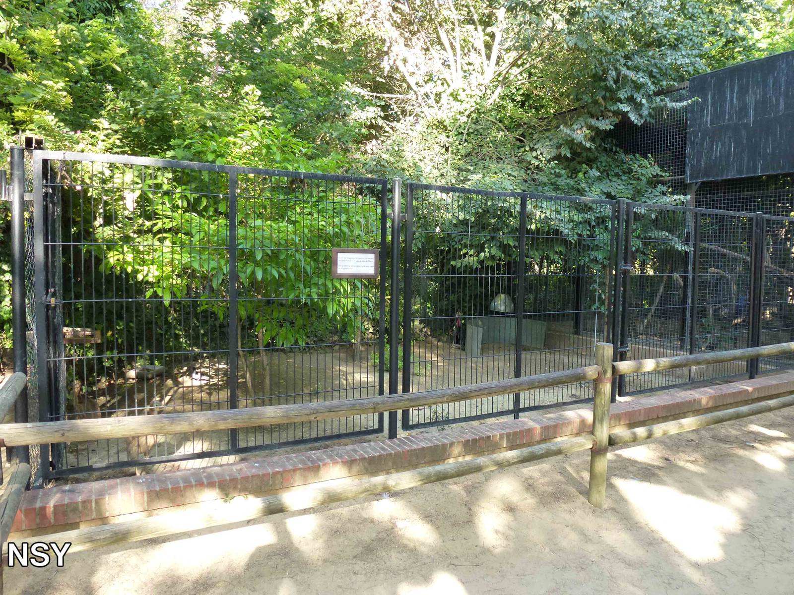 Cassowary enclosure, July 2013.