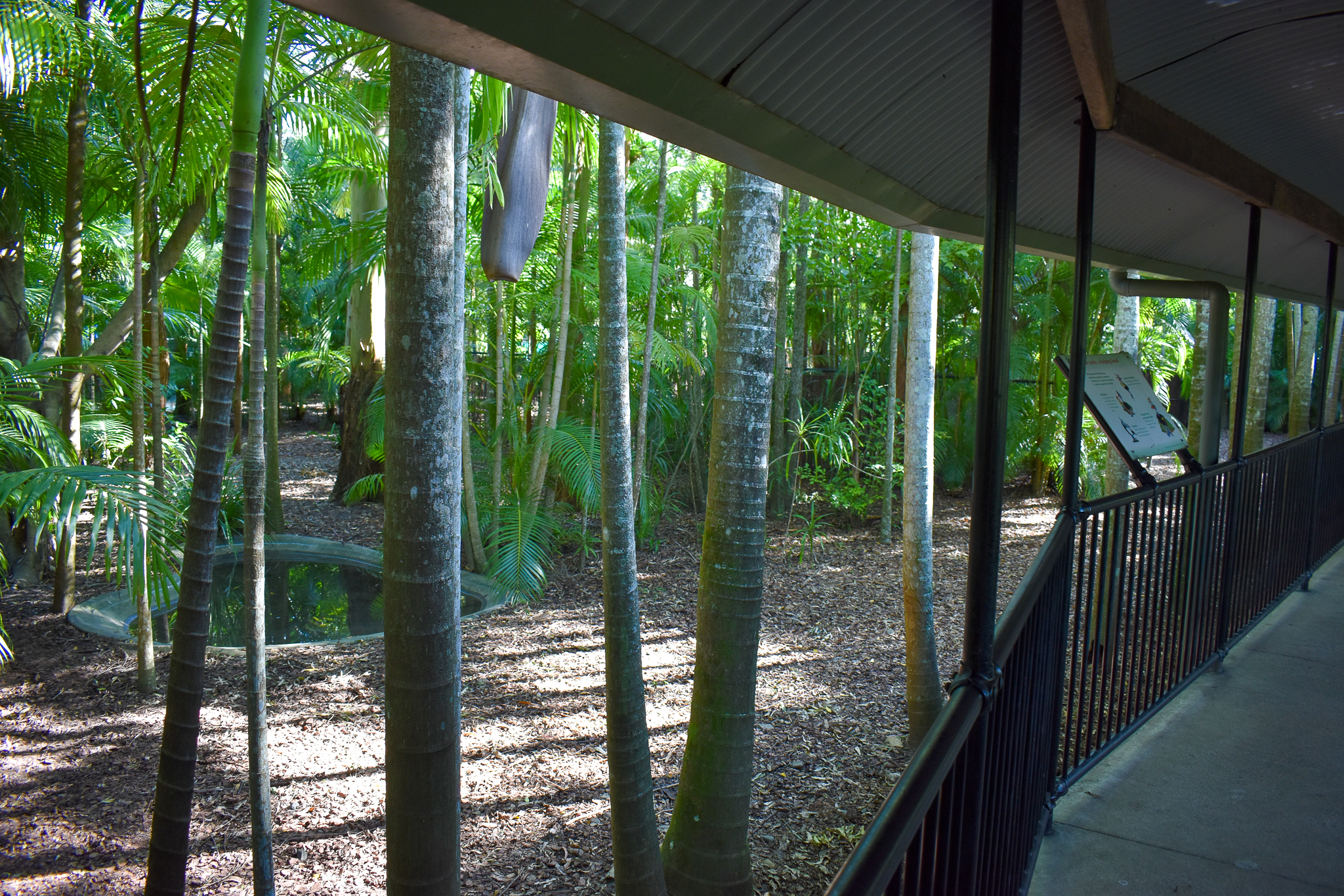 Cassowary Enclosure