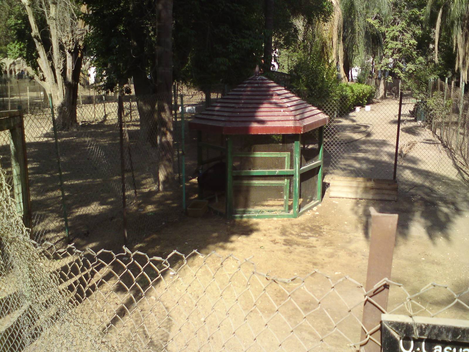 Cassowary enclosure