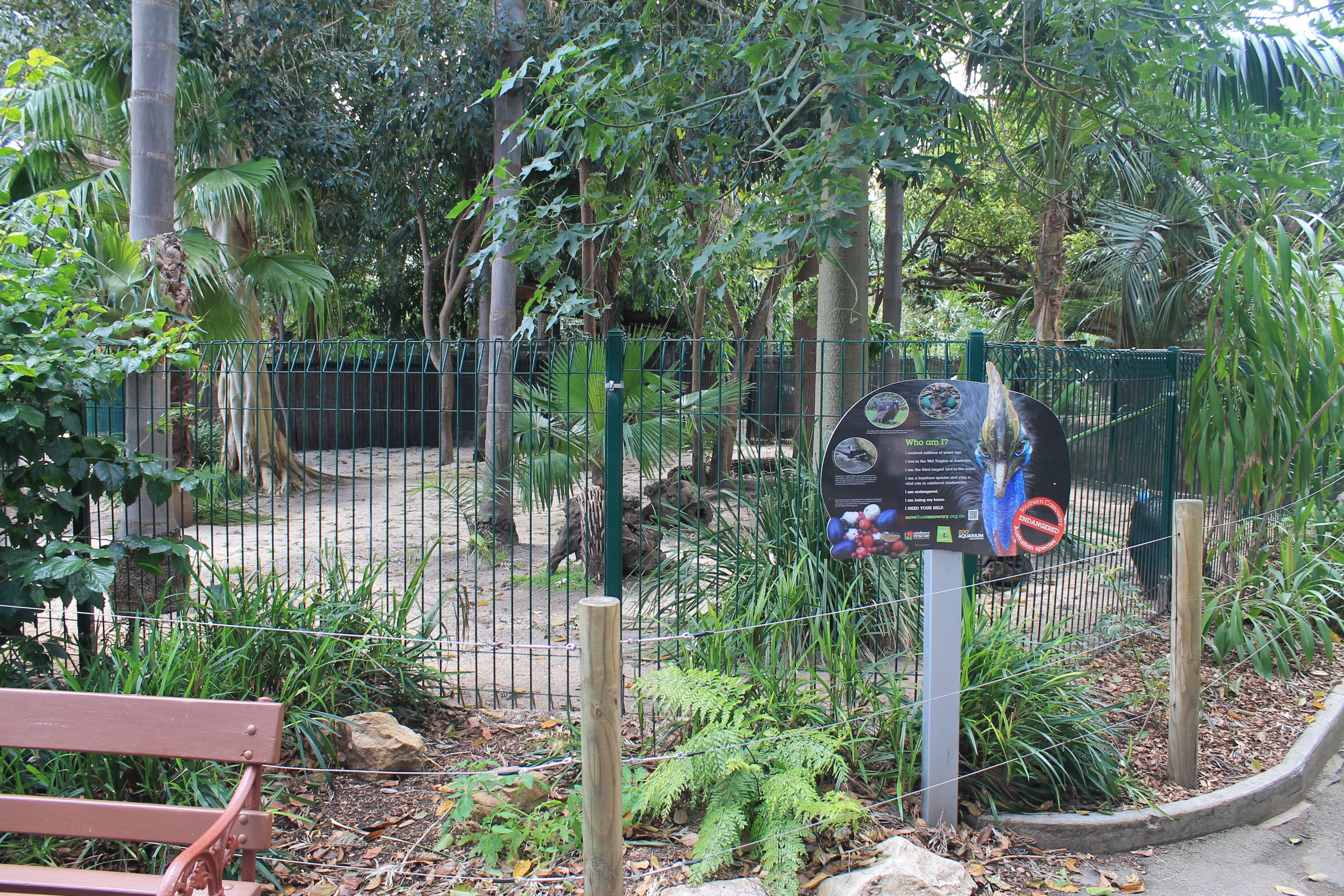 Cassowary enclosure