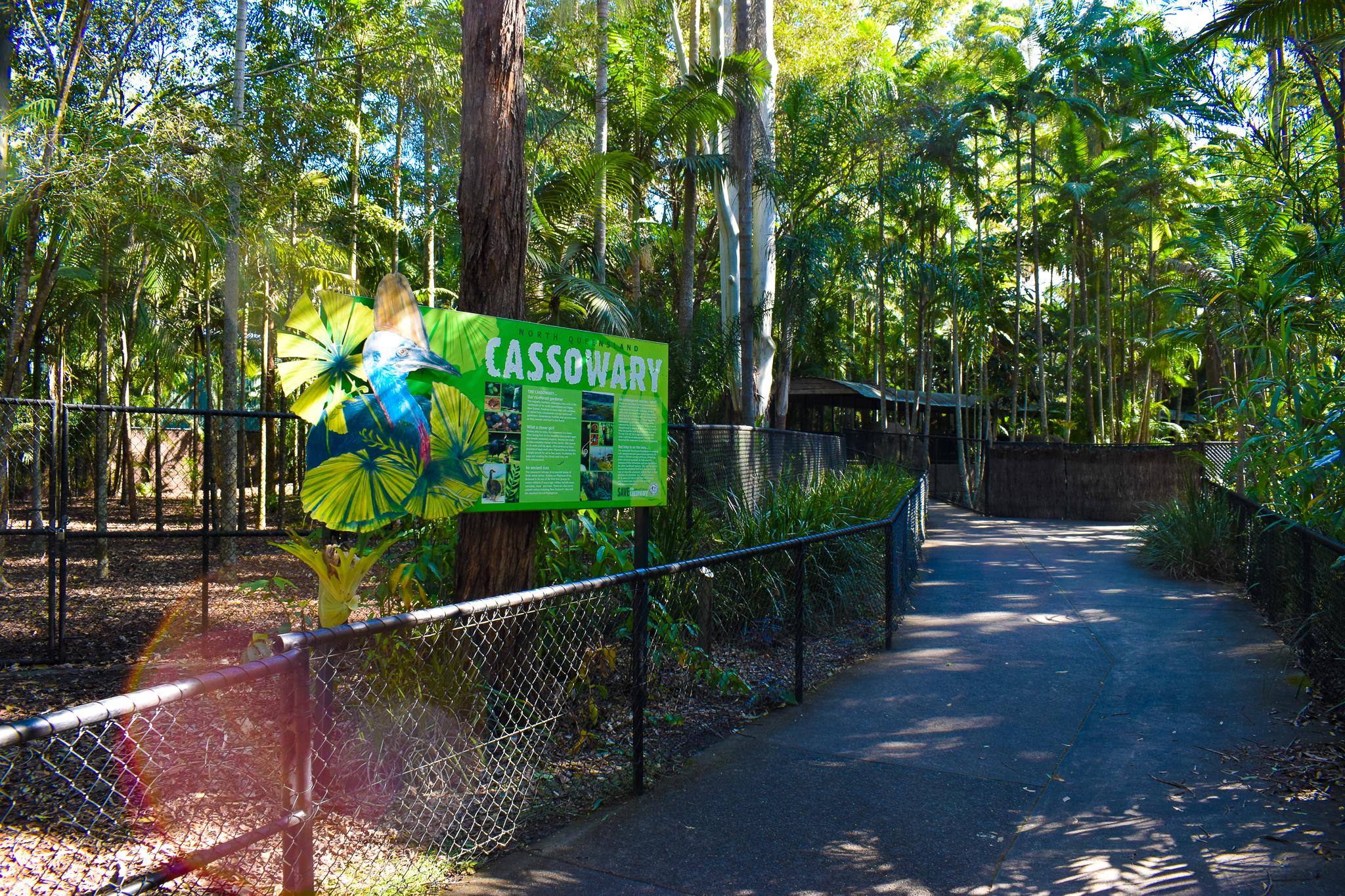 Cassowary Enclosures