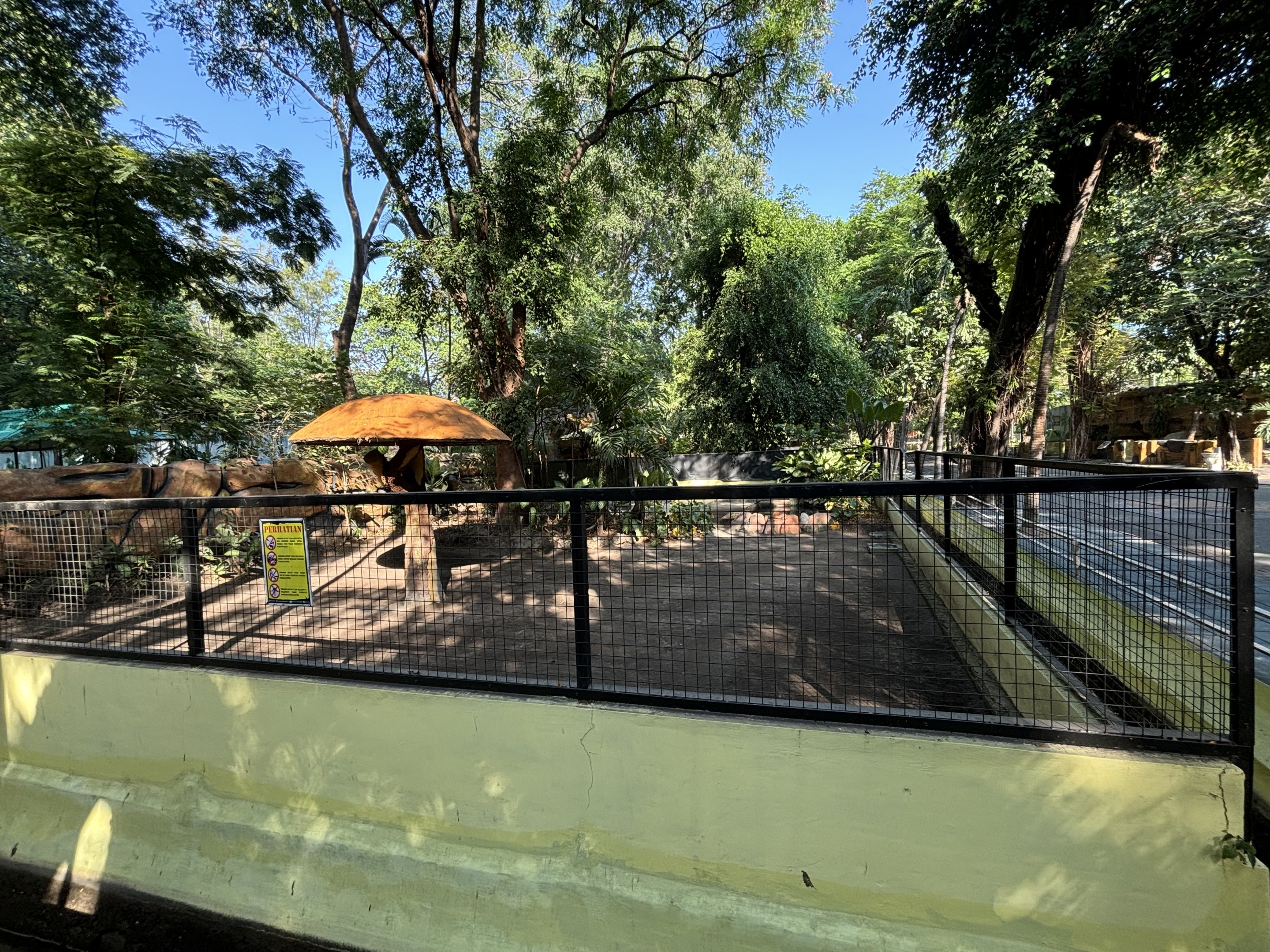 Cassowary Exhibit #1