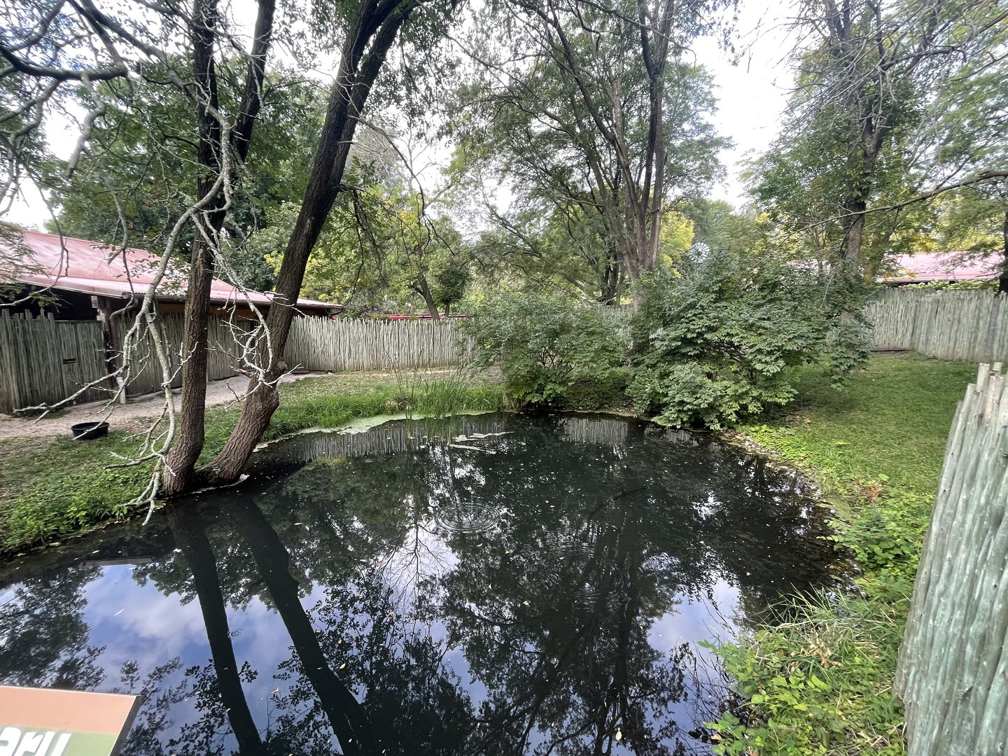 Cassowary Exhibit #2