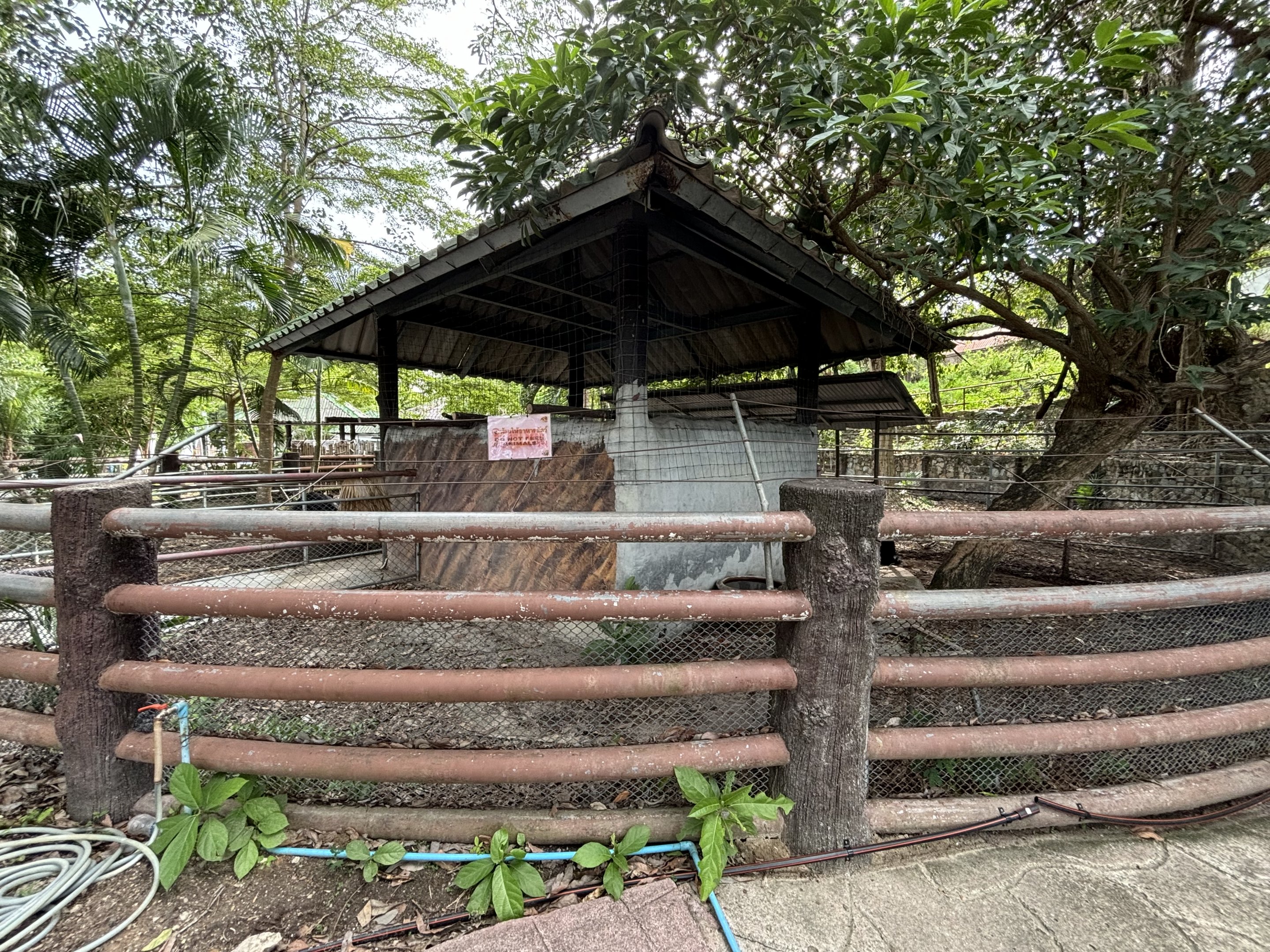 Cassowary Exhibit #2