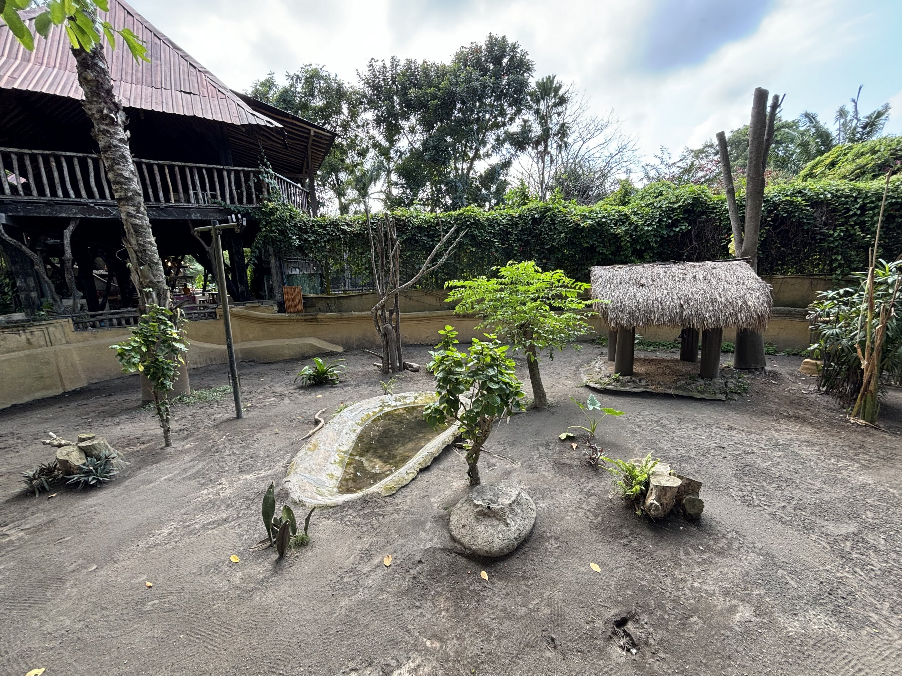 Cassowary Exhibit #2