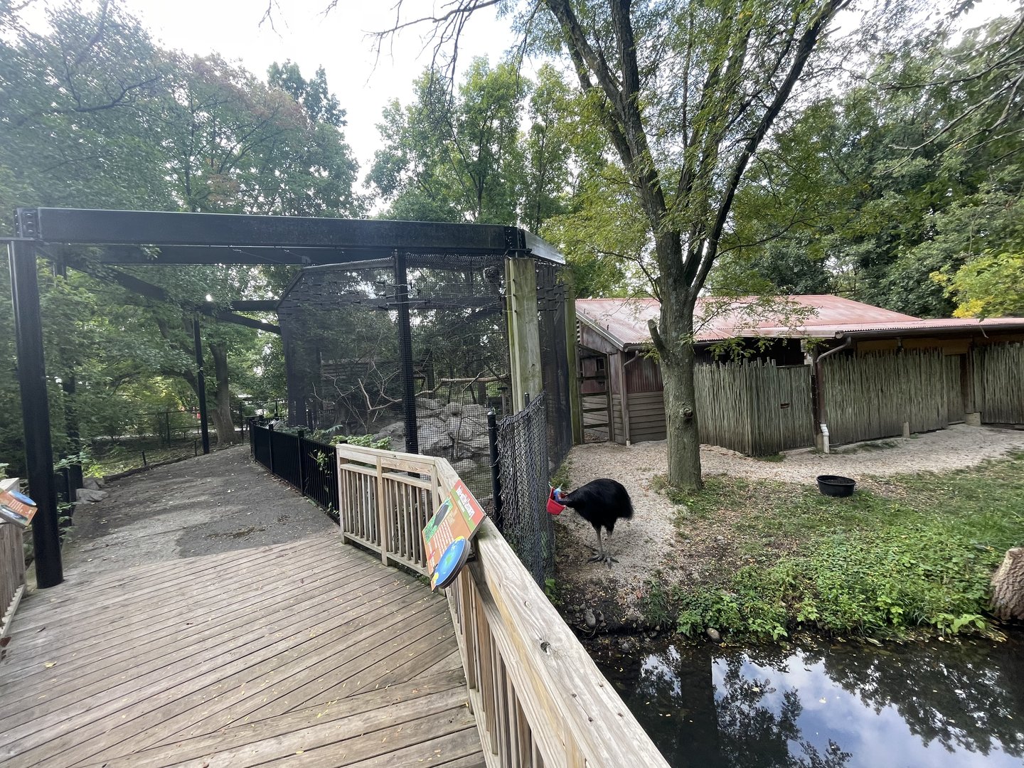 Cassowary Exhibit and Australian Aviary