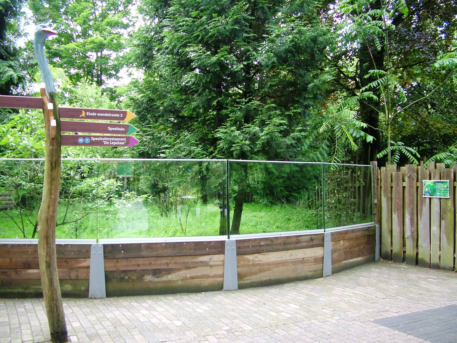 Cassowary Exhibit at Avifauna, 04/06/12