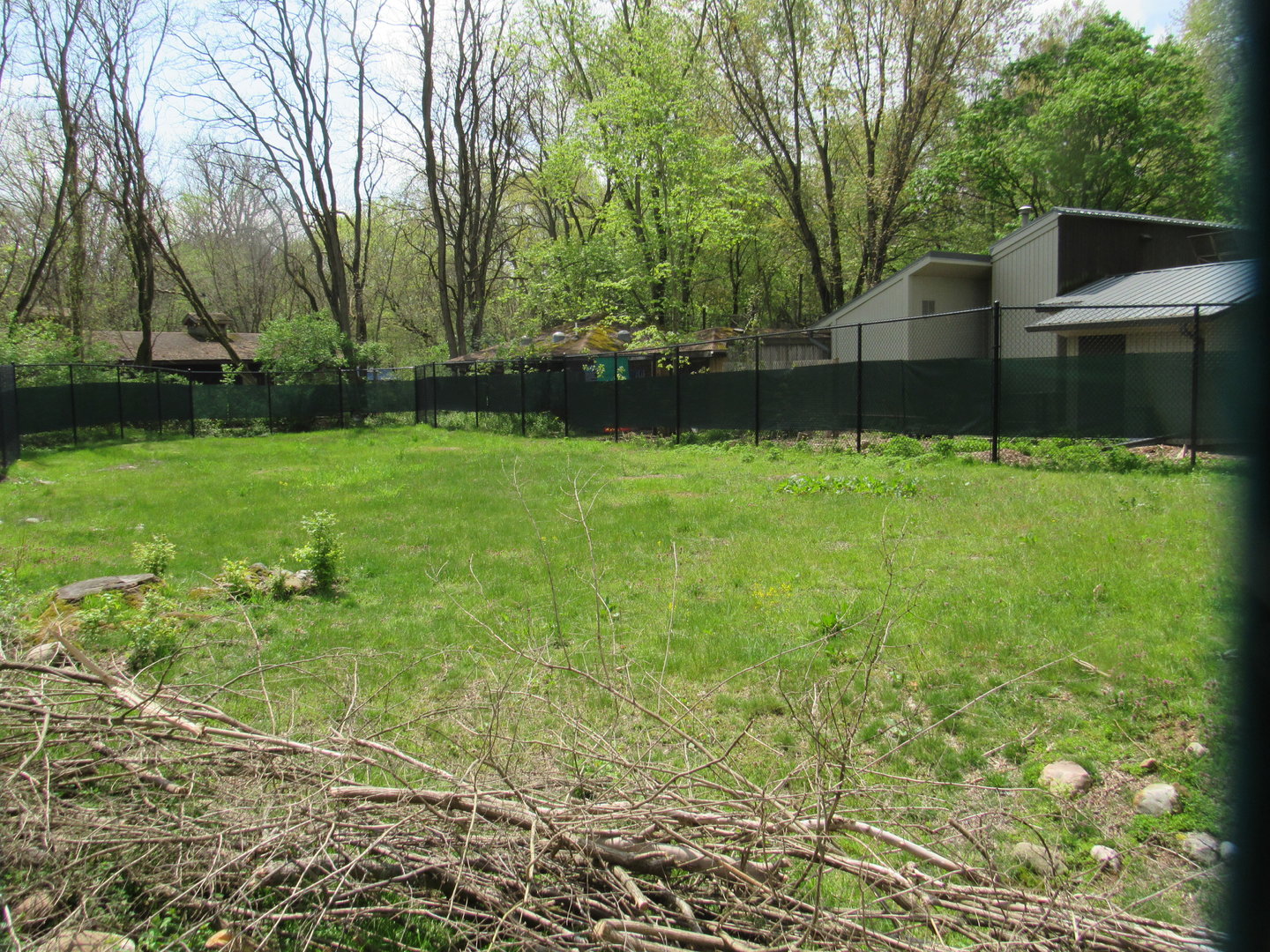 Cassowary Exhibit (Left side) - 5/7/23
