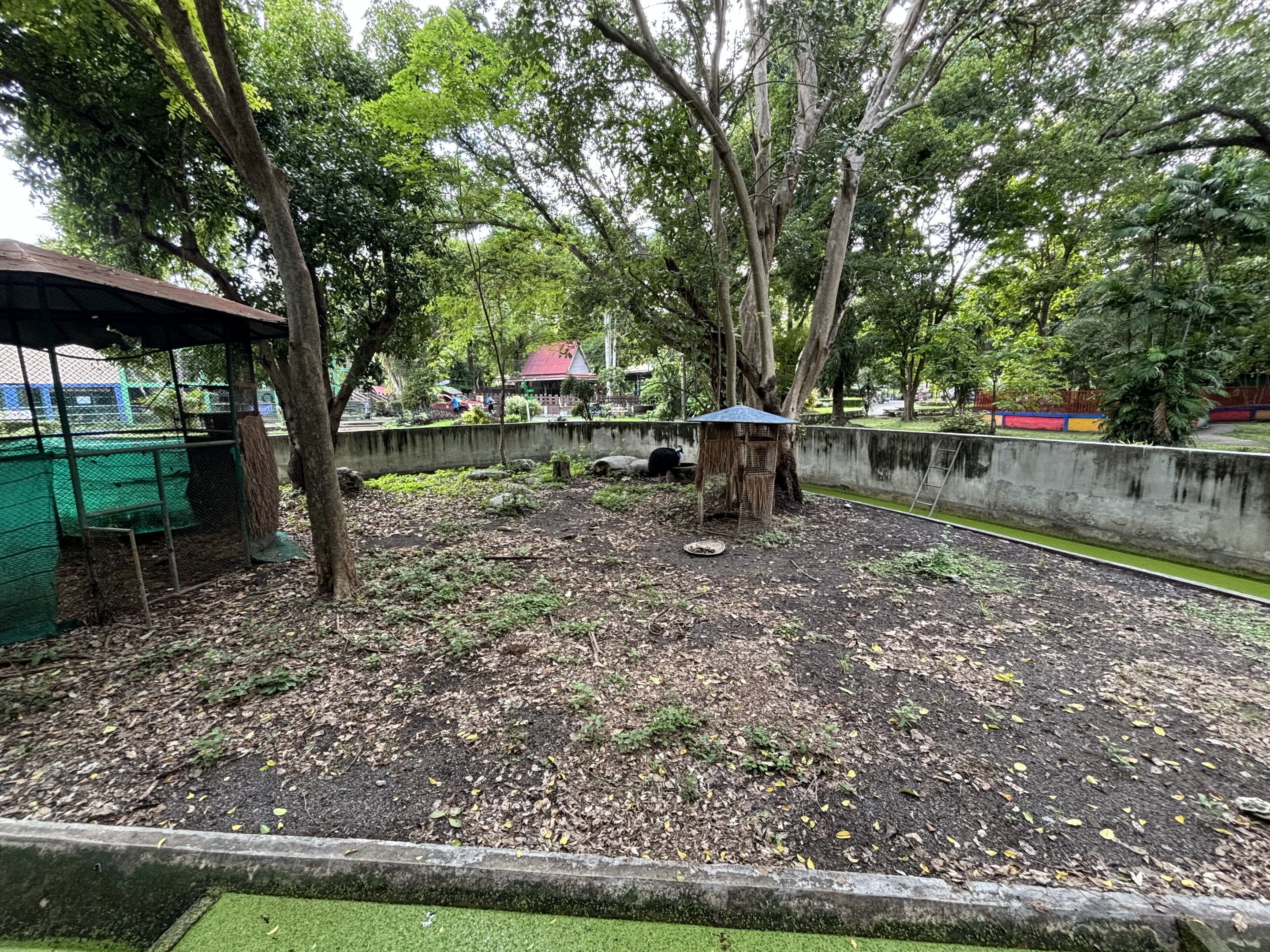 Cassowary Exhibit - Lopburi Zoo