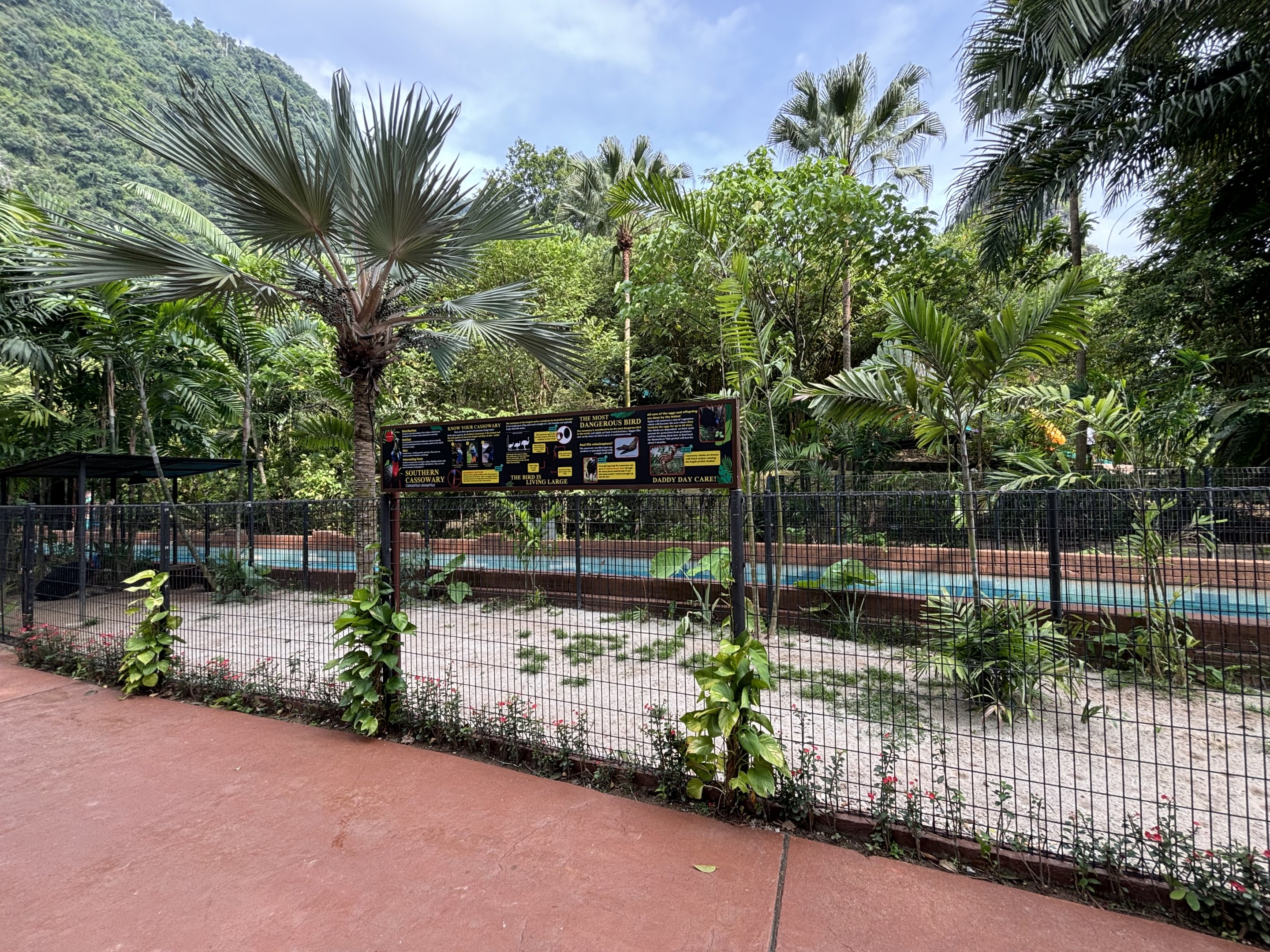 Cassowary Exhibit - Lost World of Tambun