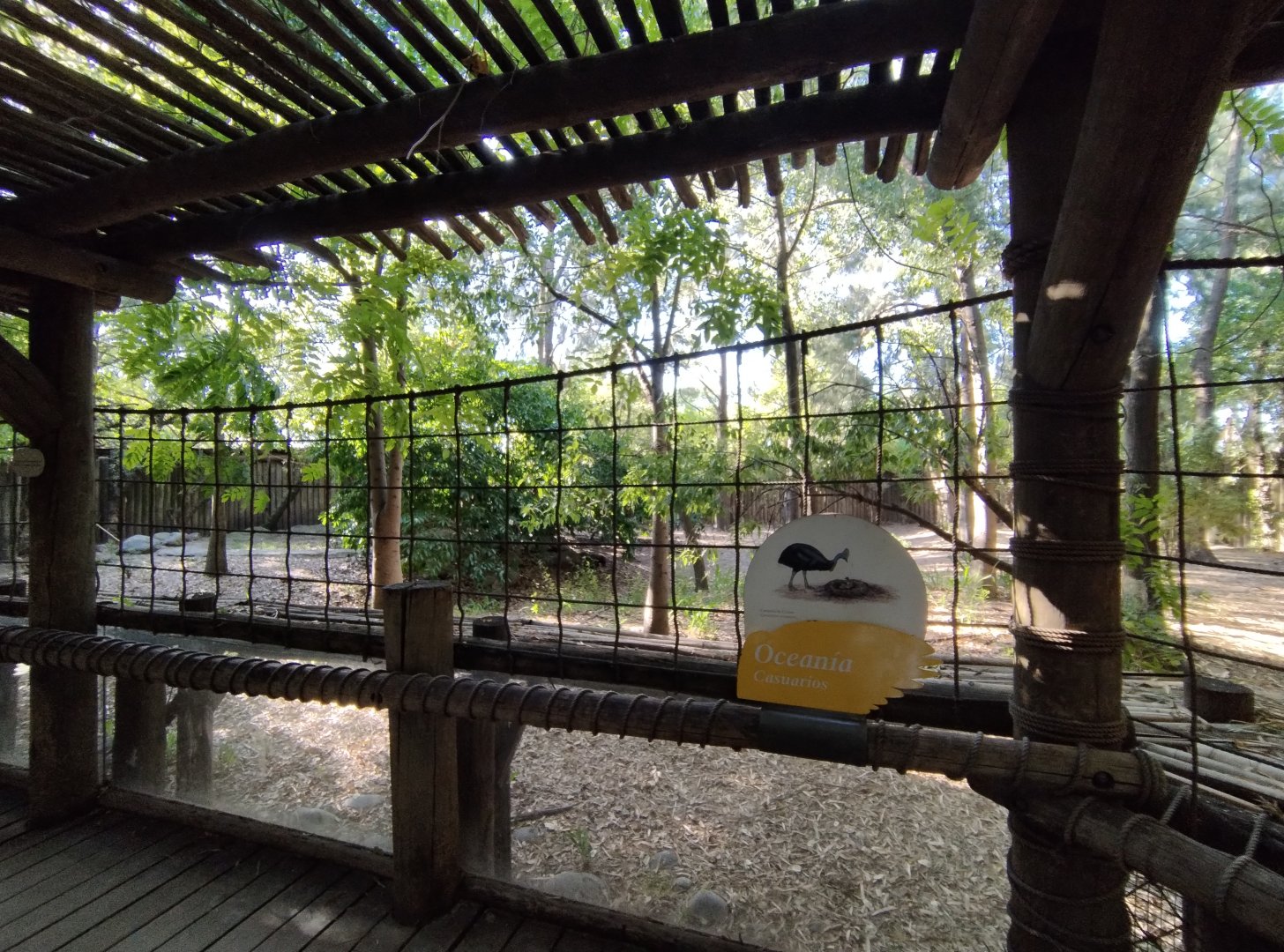 Cassowary exhibit, Lugar de las aves - Temaiken