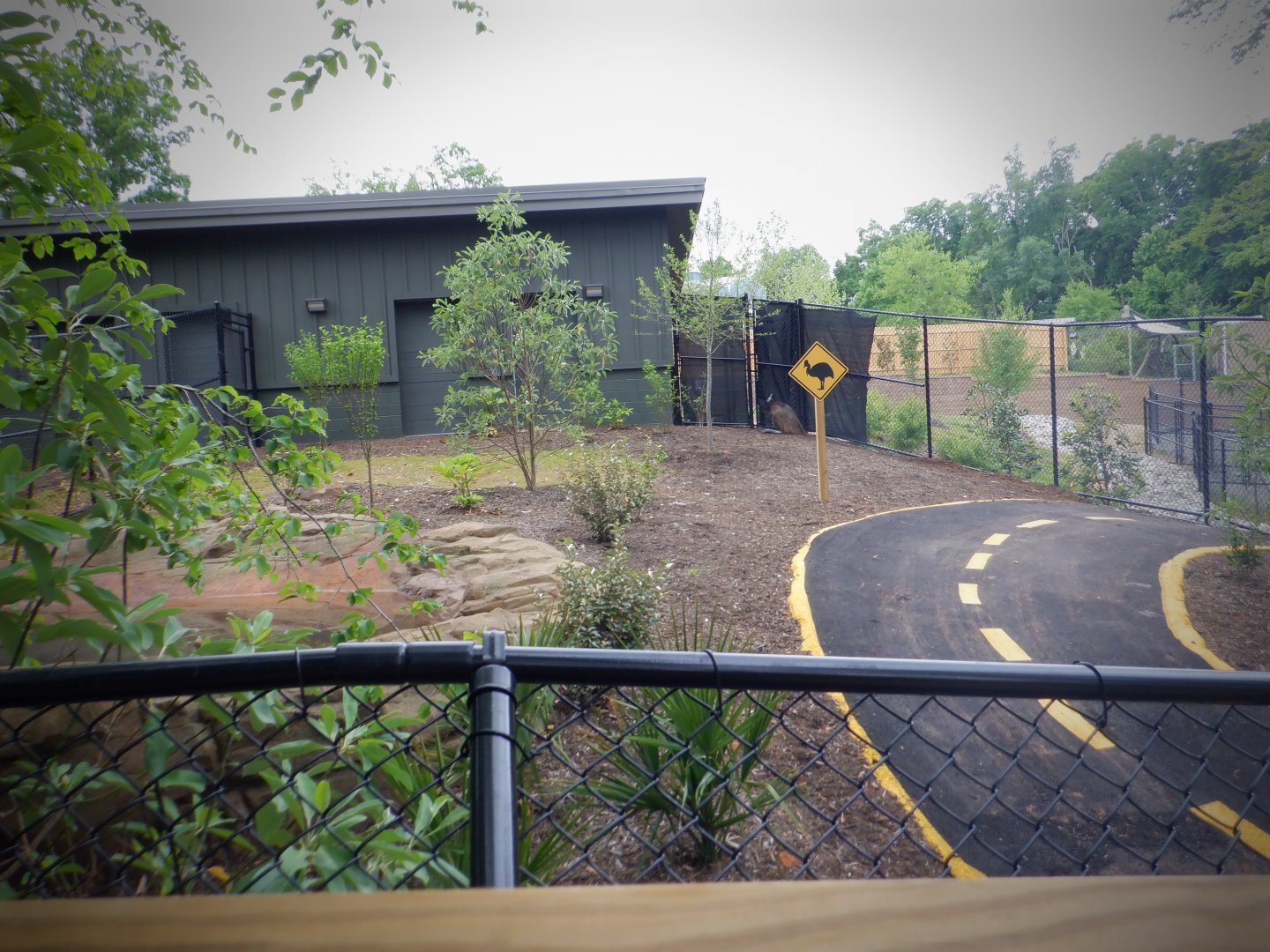 Cassowary exhibit (right) at the Greensboro Science Center
