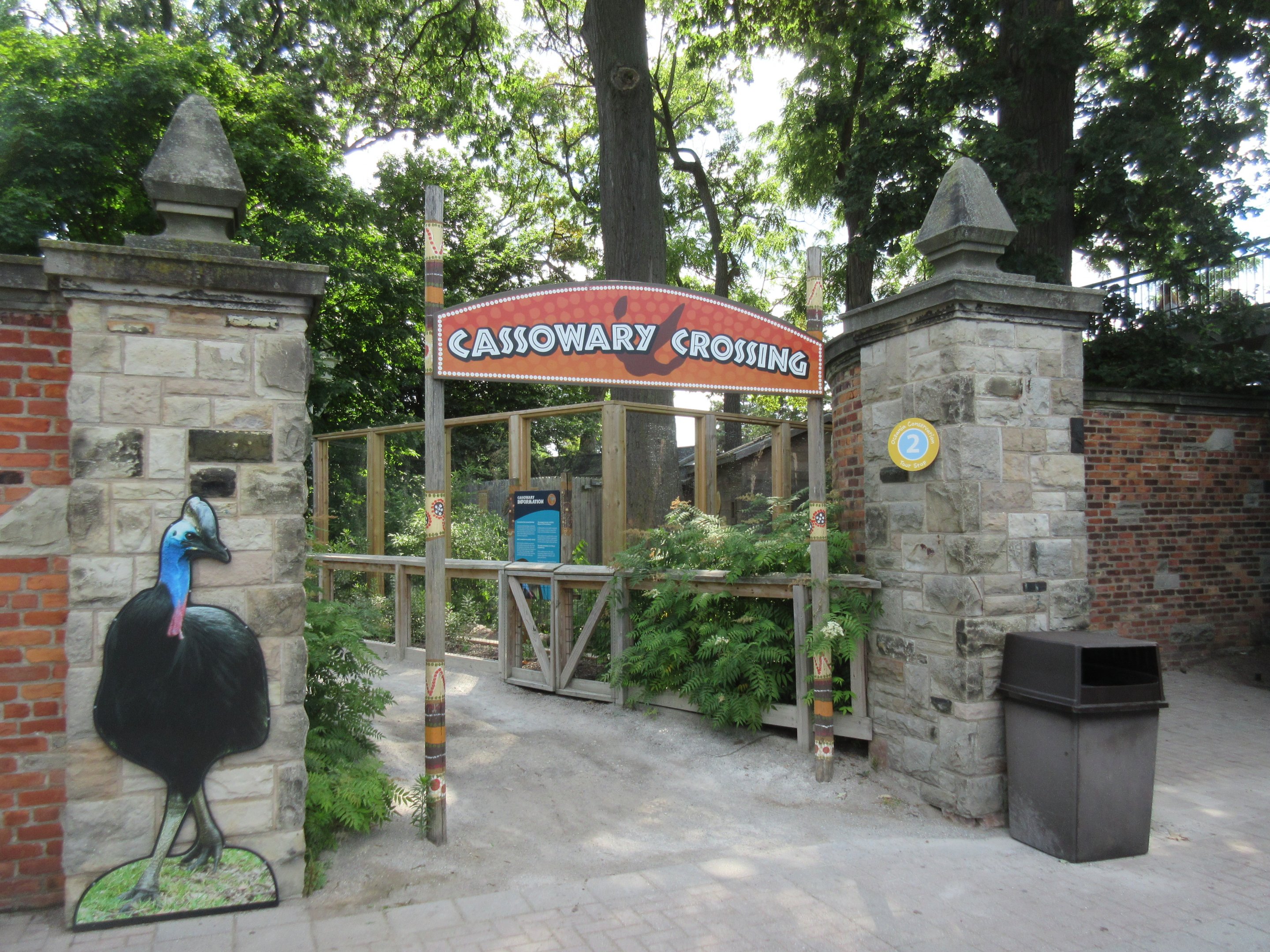 Cassowary Exhibit
