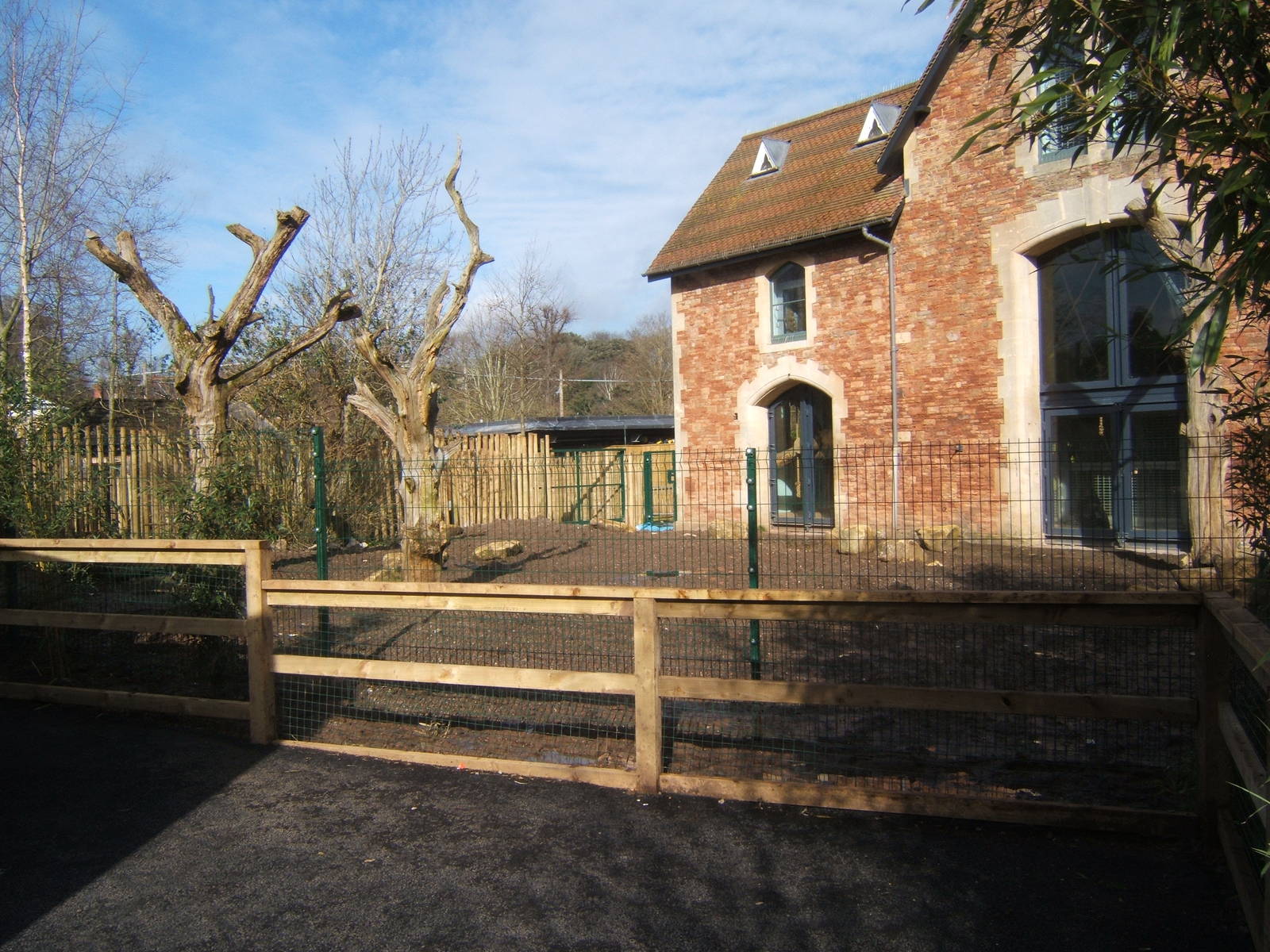 Cassowary paddock waiting planting
