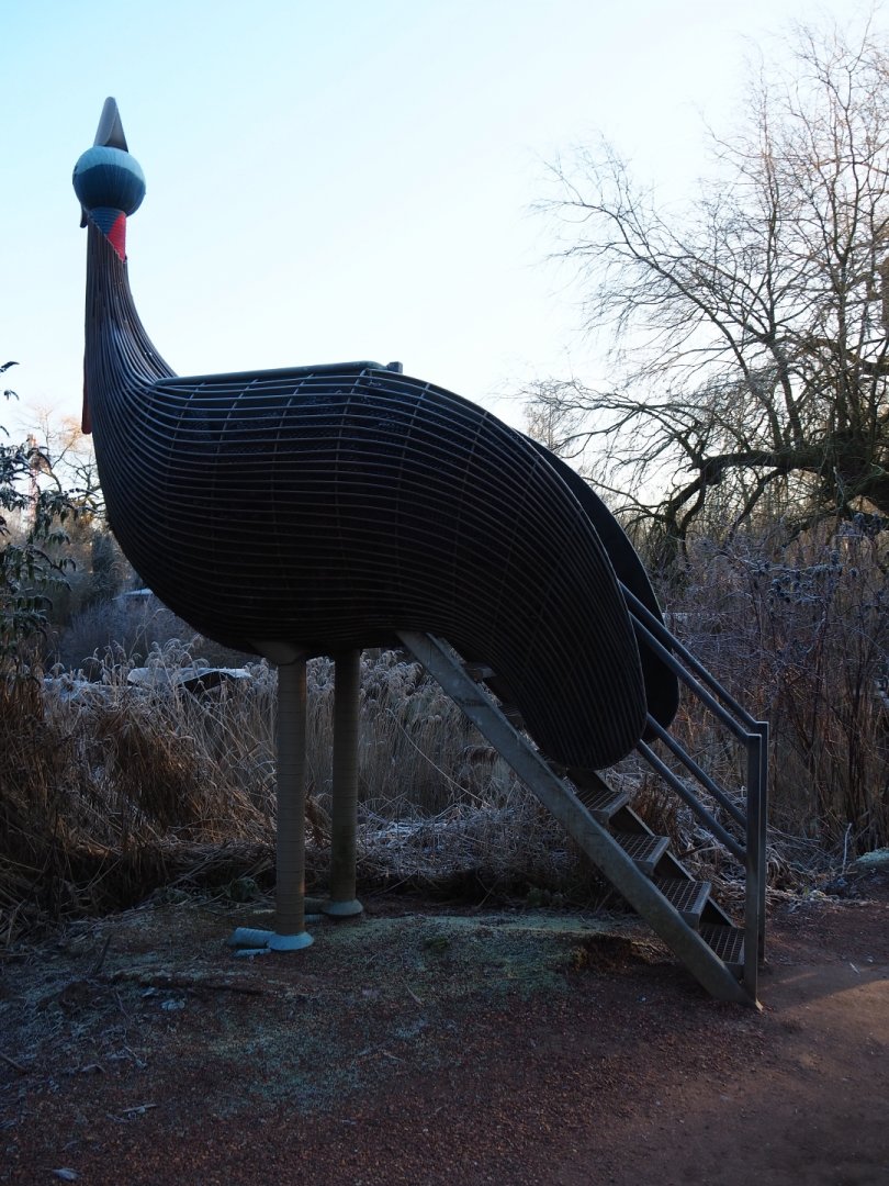 Cassowary-shaped viewing point (Jan 20th, 2019)