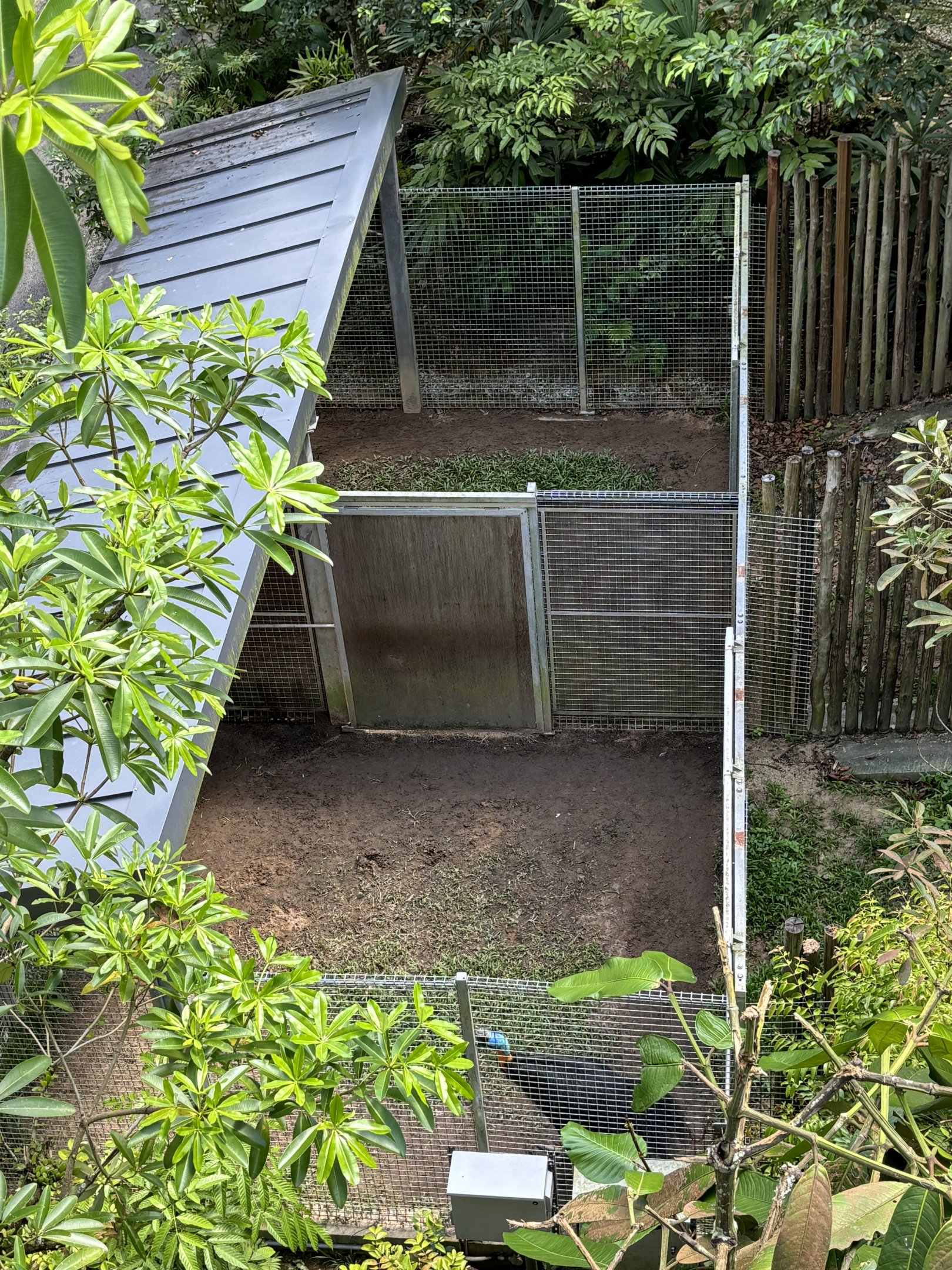 Cassowary Side Exhibits