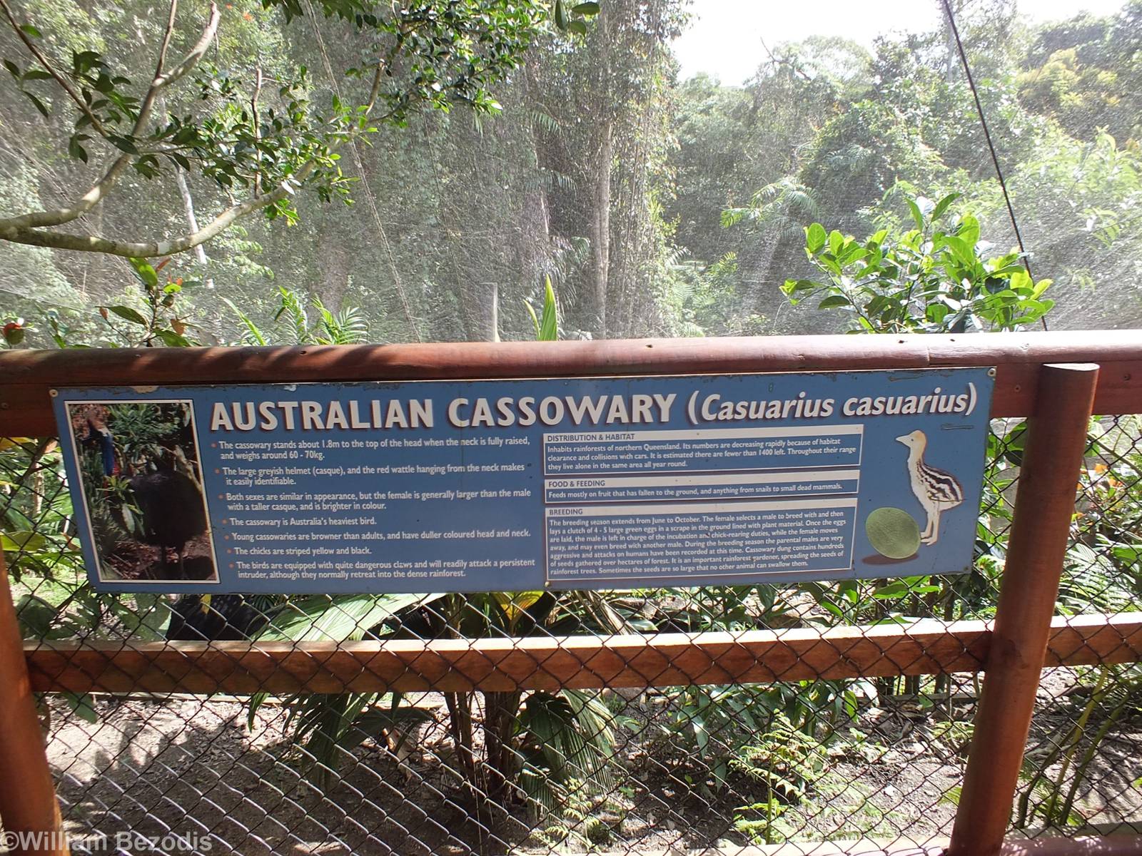 Cassowary Sign