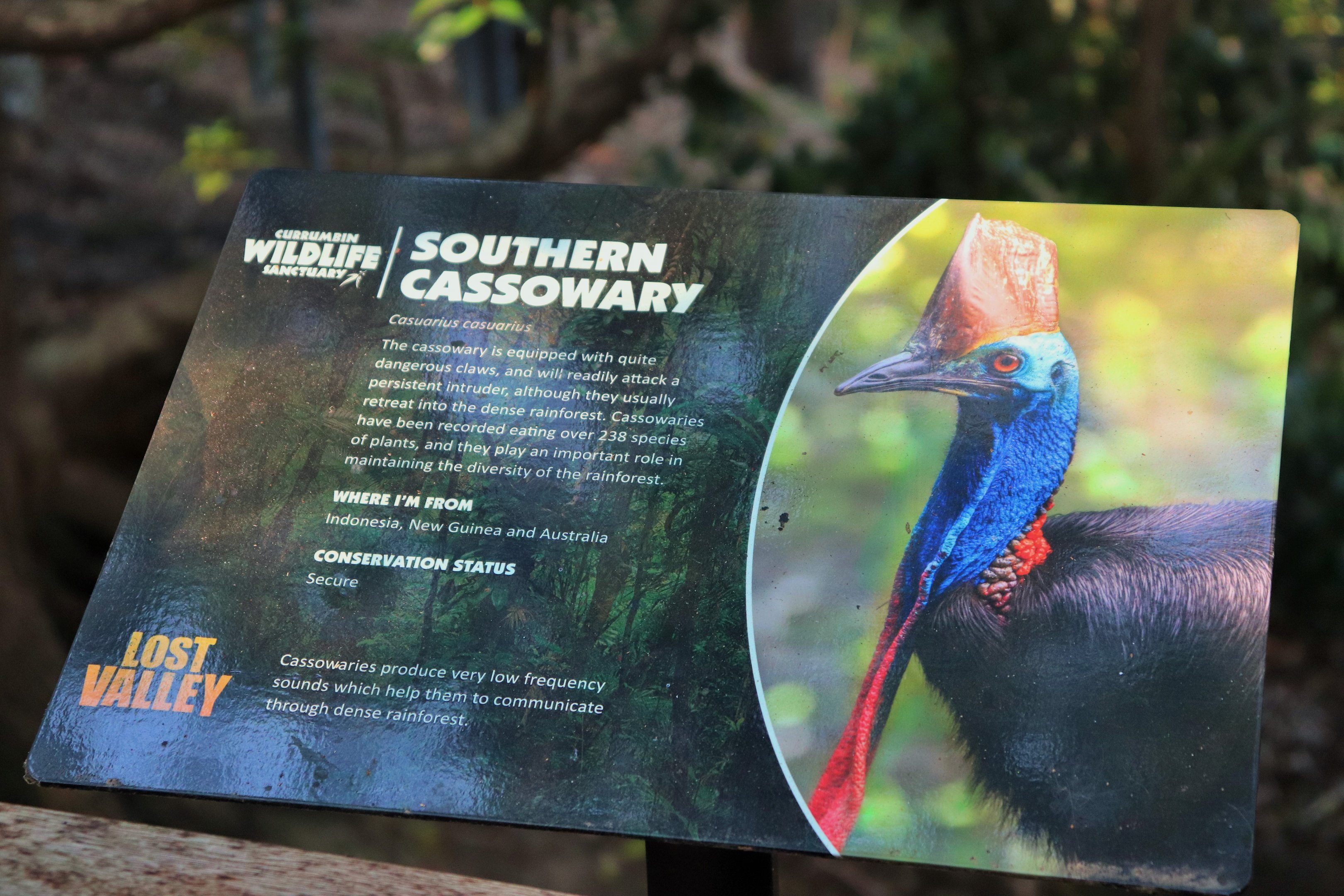 Cassowary Sign