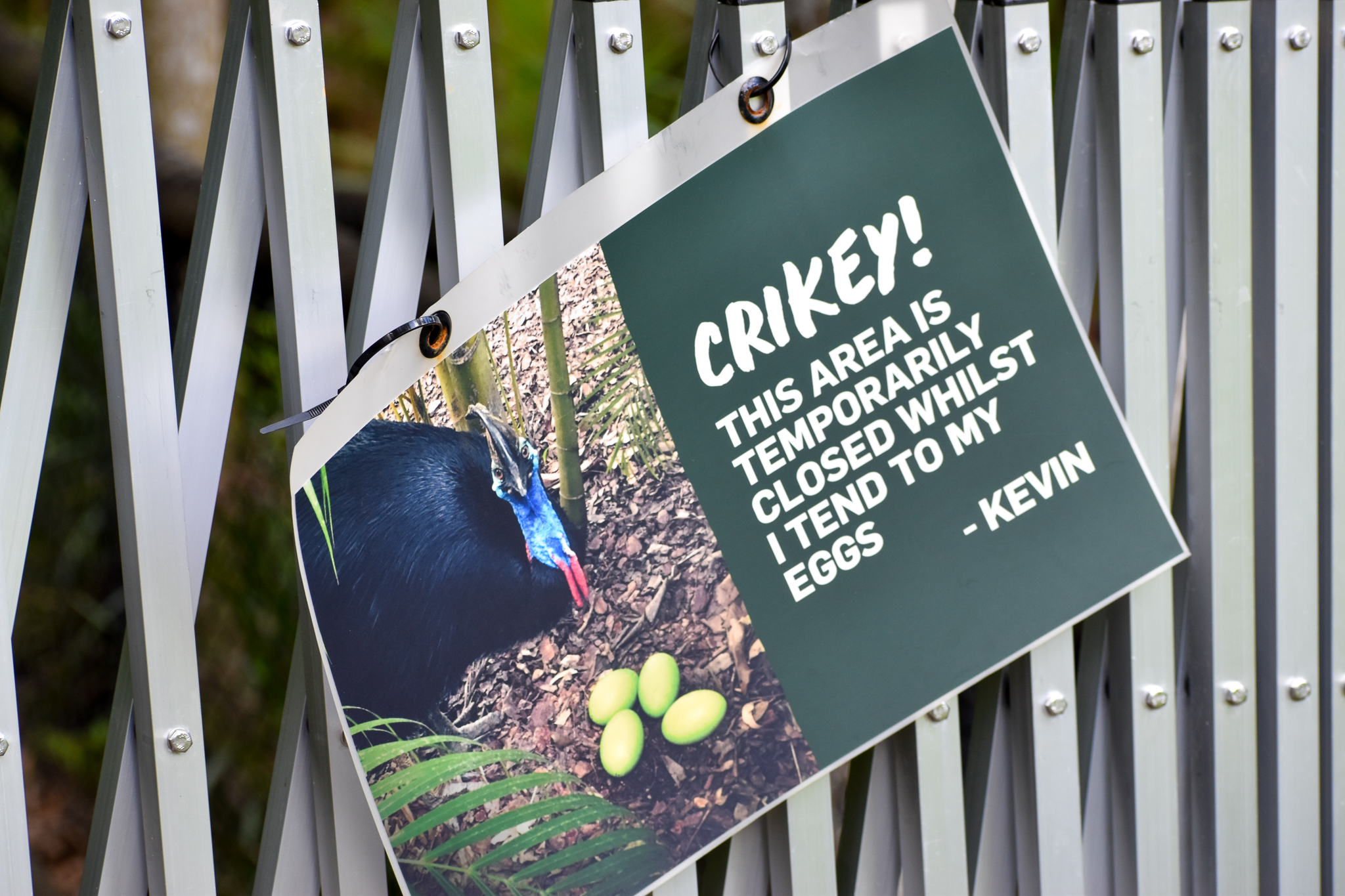 Cassowary Sign
